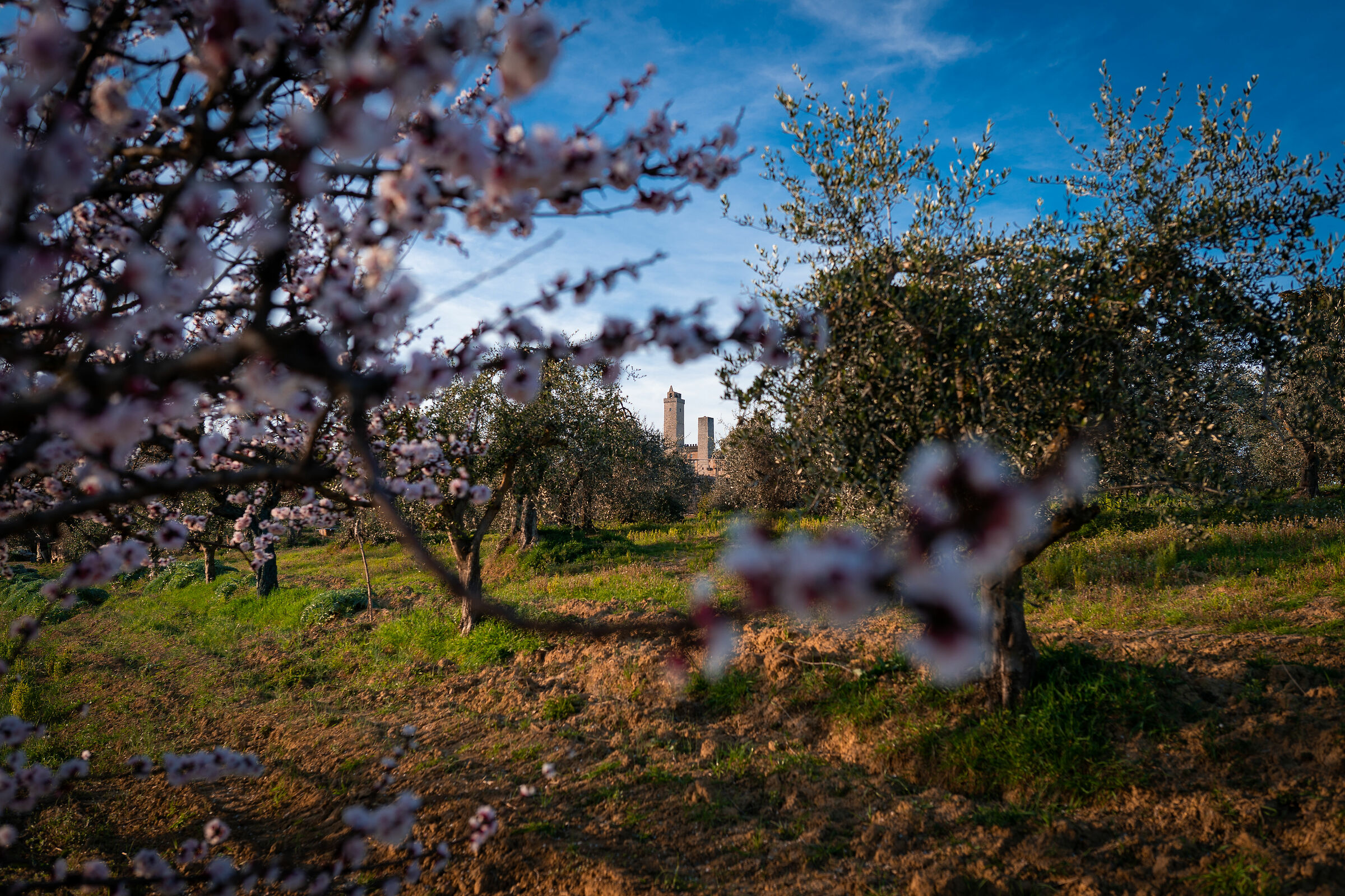 San Gimignano