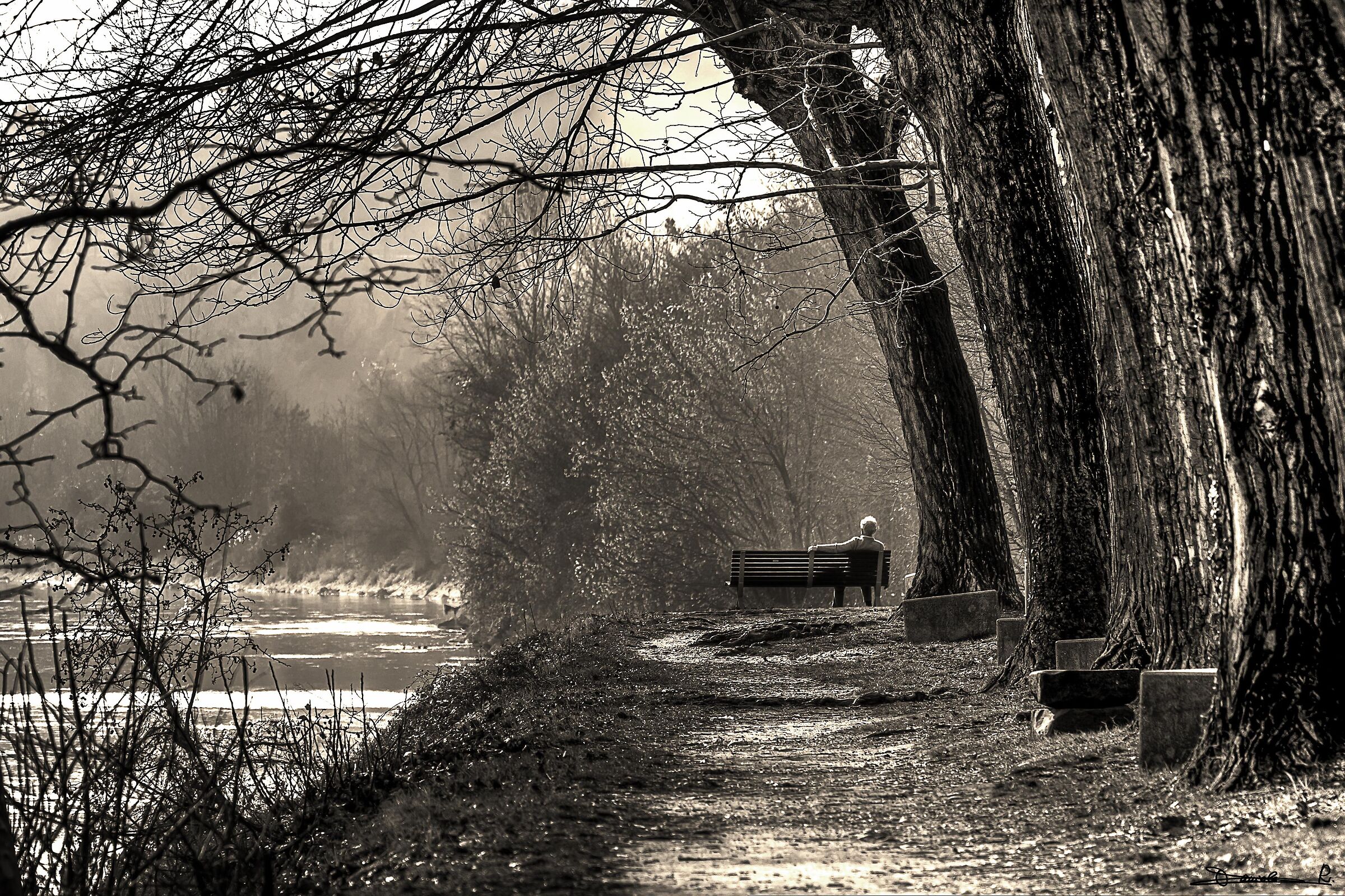 Siediti sulla riva del fiume e aspetta.......