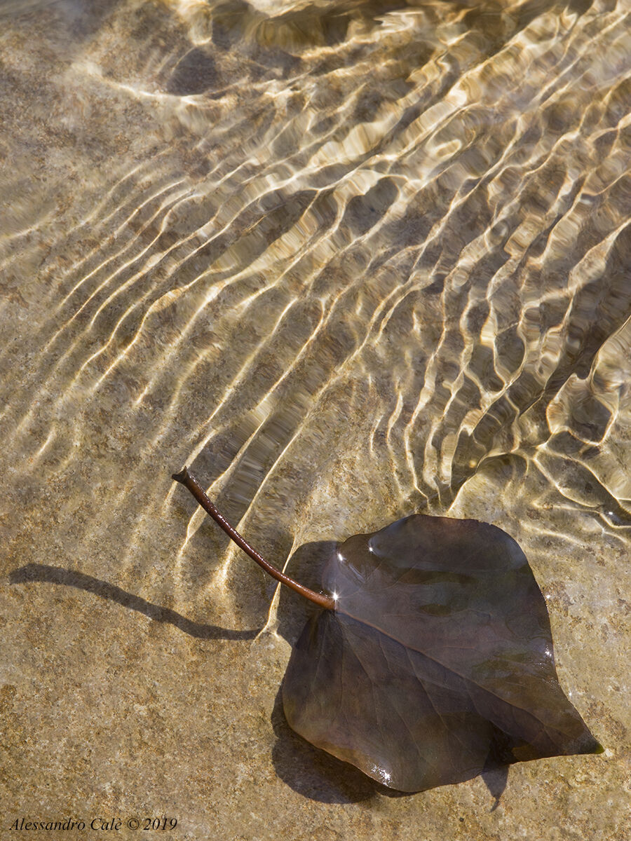 Giochi di luce in acqua 7530