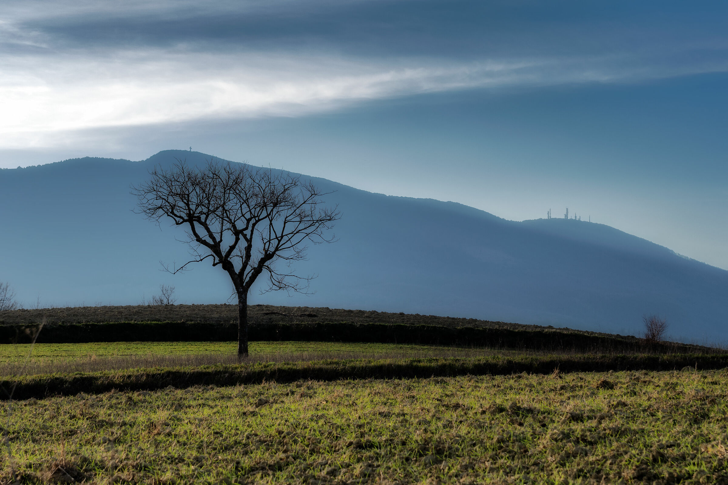 sullo sfondo il monte cetona
