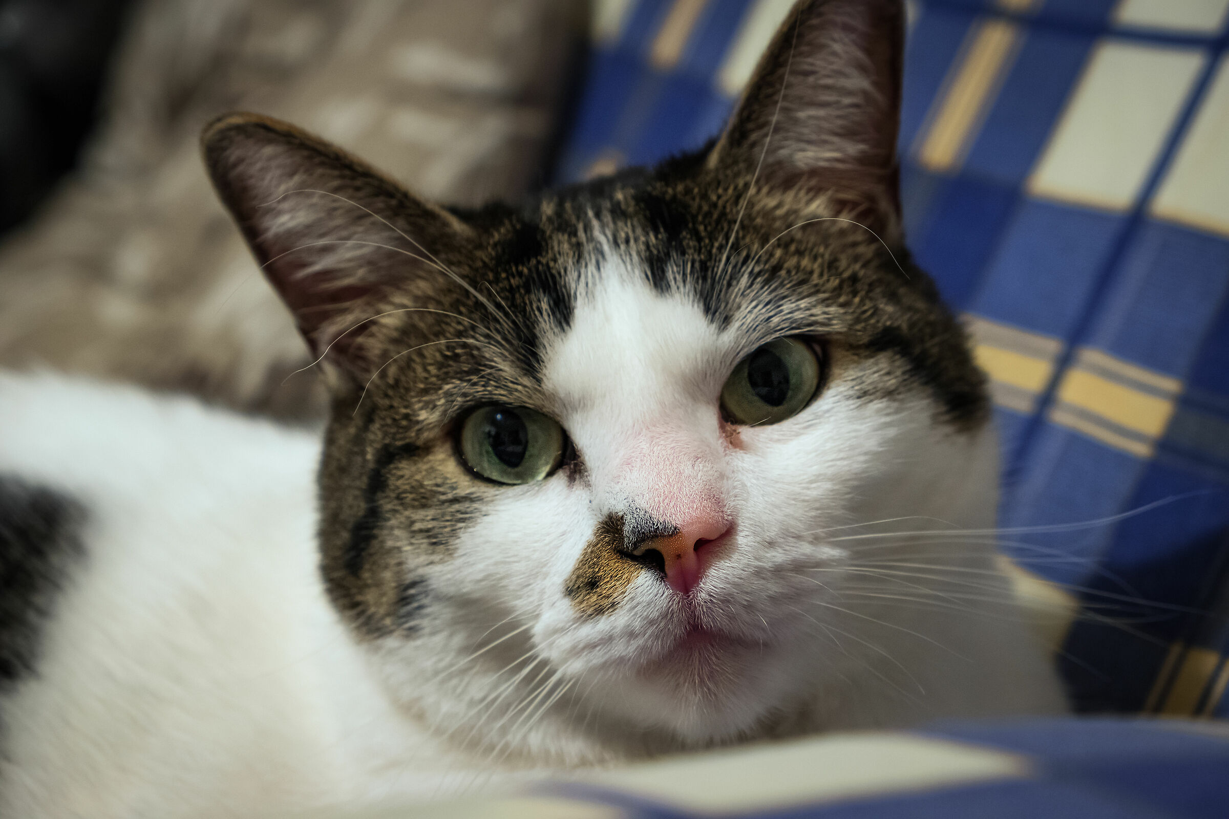 Attimo di tranquillità