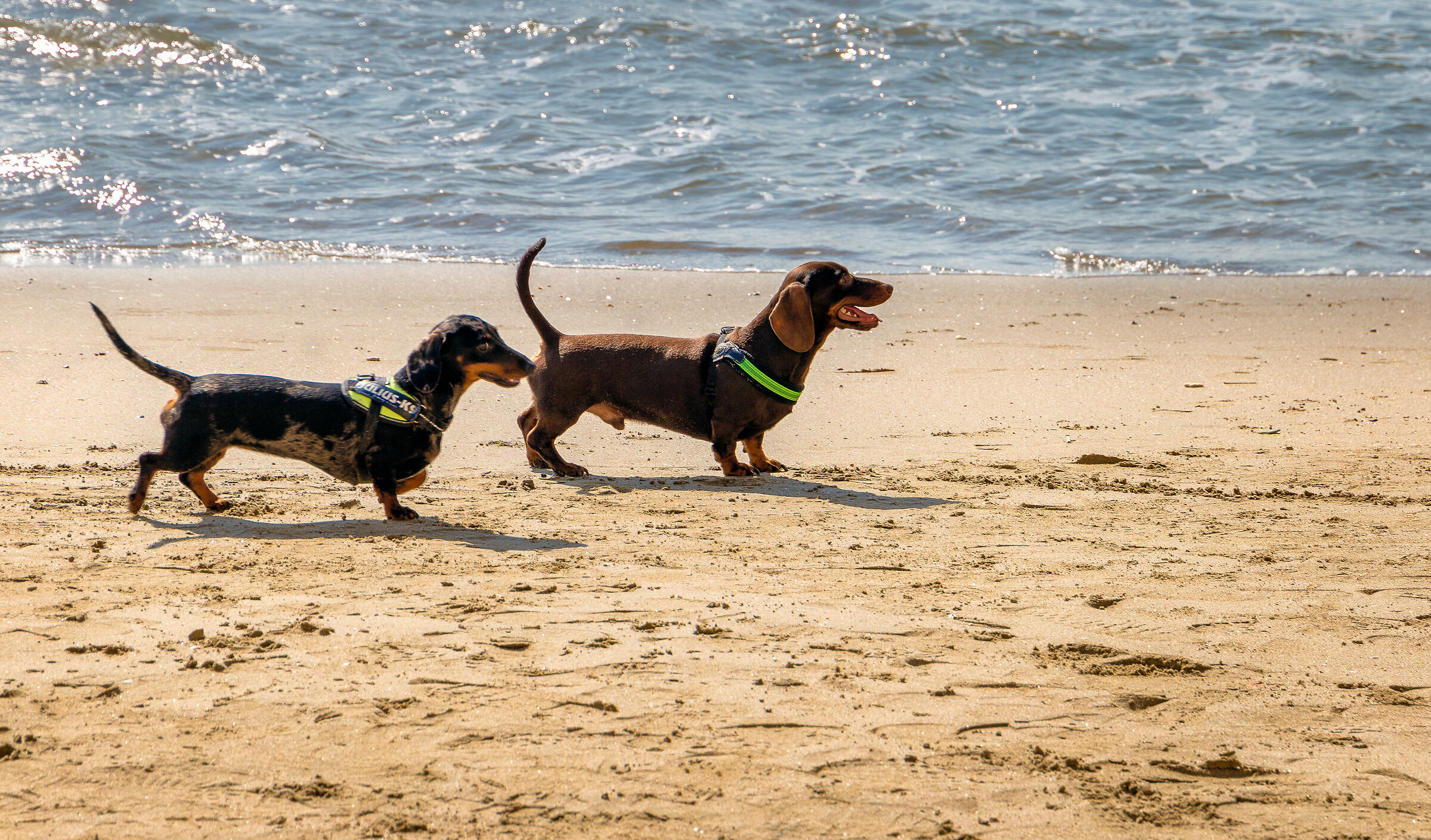 A spasso sulla spiaggia