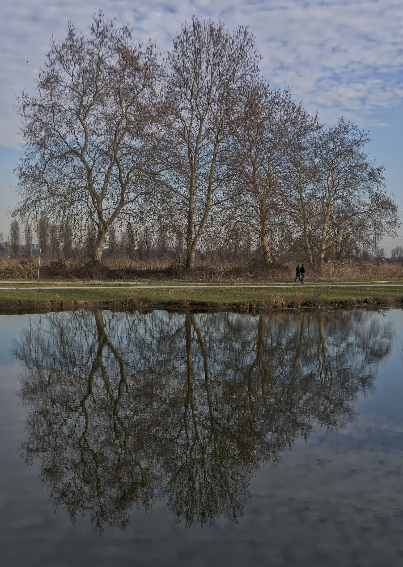 Agricultural Park of the Vettabbia