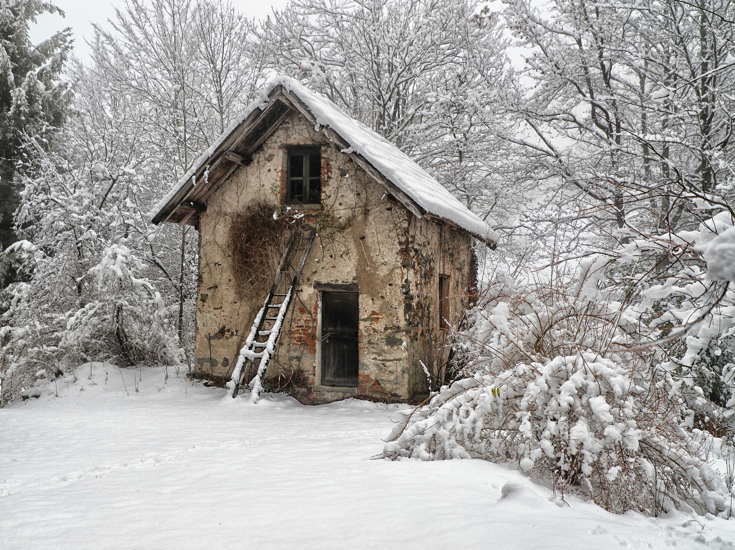 Untitled Photo
