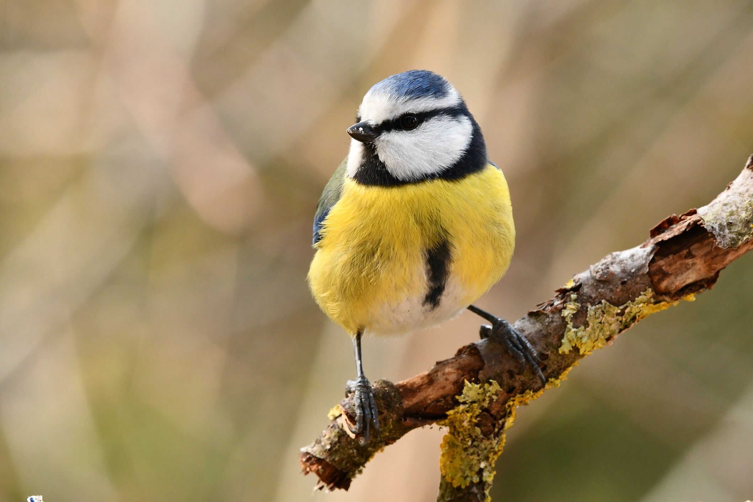 Don't look into the target... Done, thank you!