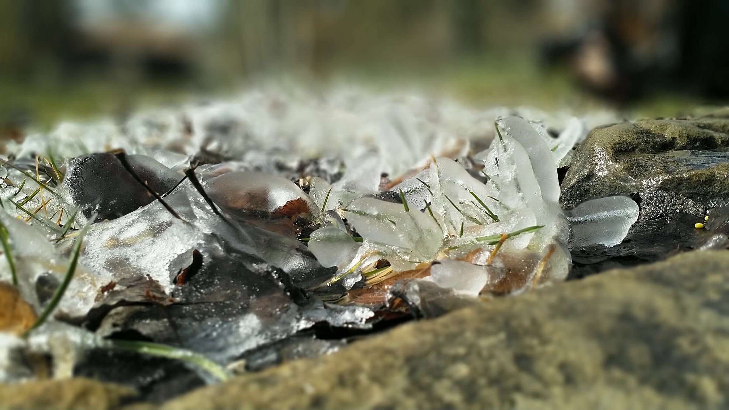 Cold Trap