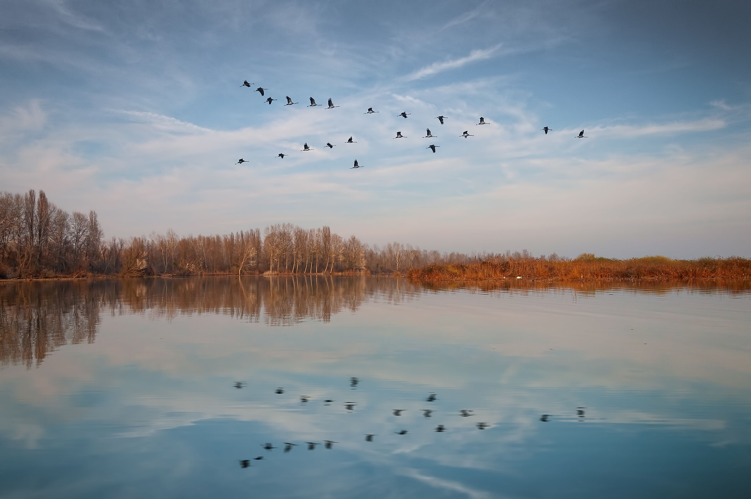 Lago Superiore di Mantova