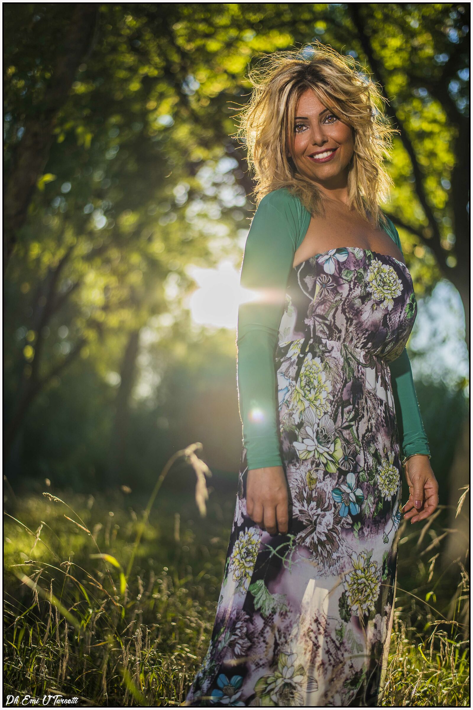 The Fairy of the Light forest