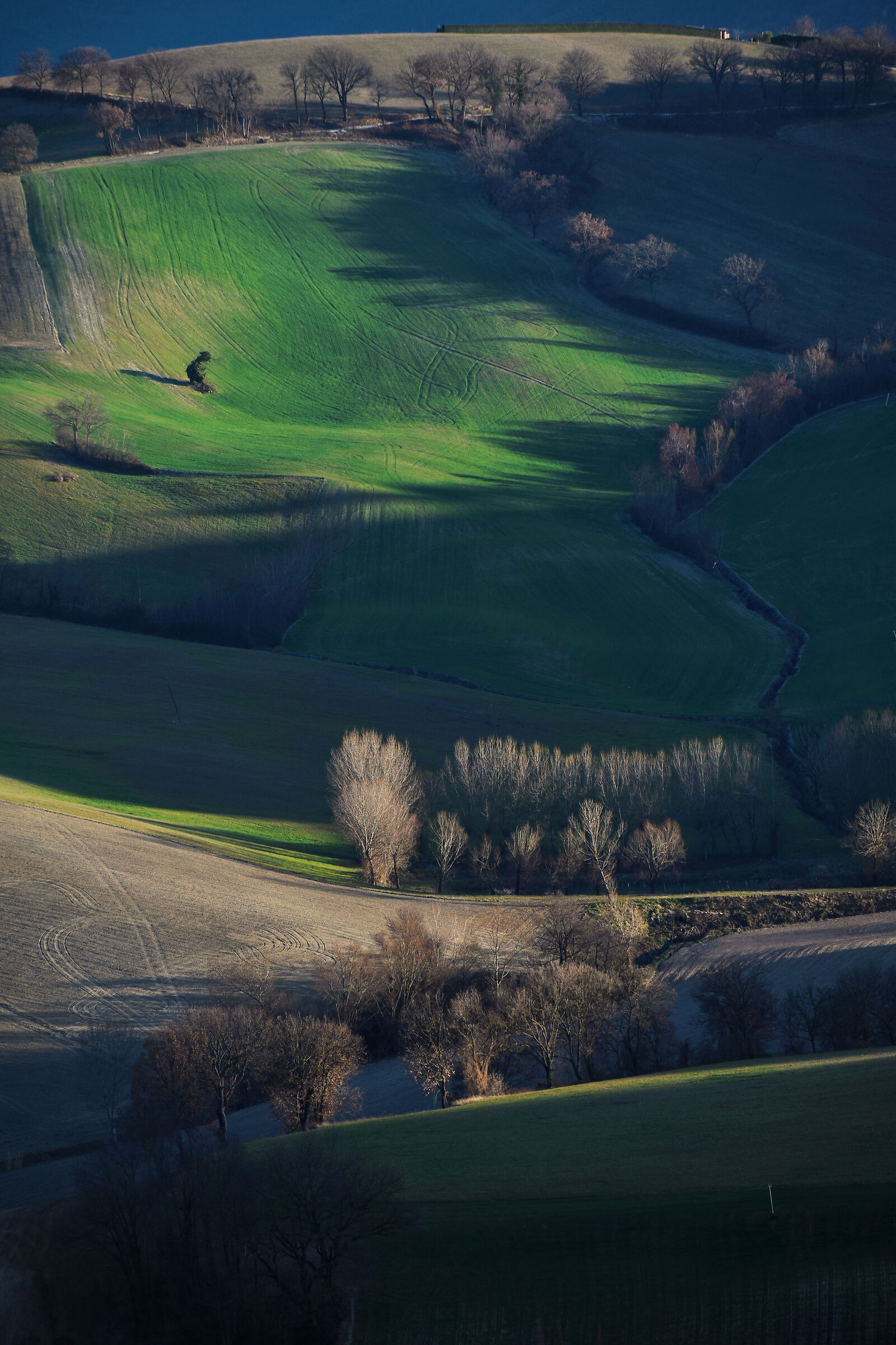 Marche campaign end of winter