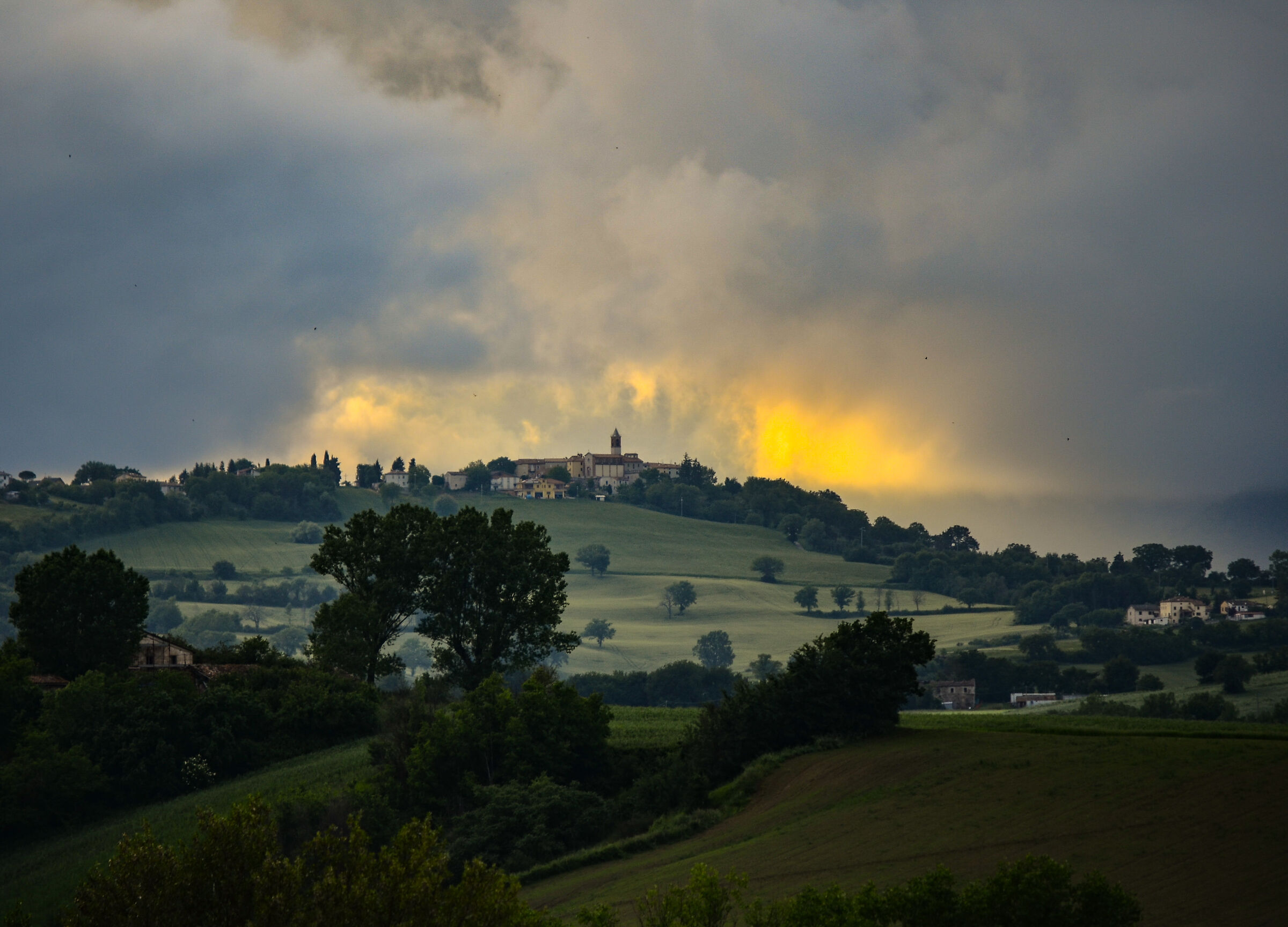 Countryside Marches Summer