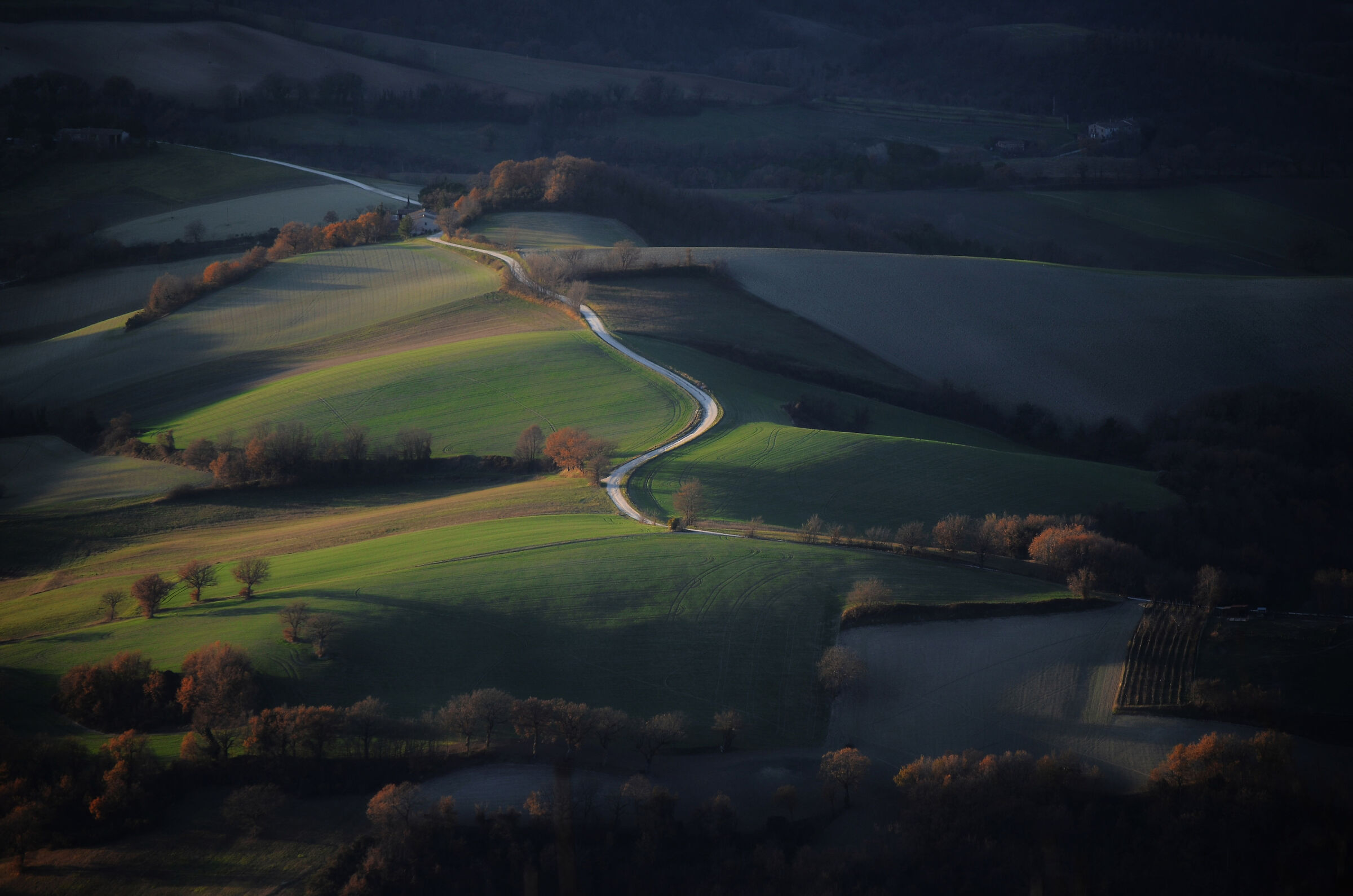Marches campaign in November