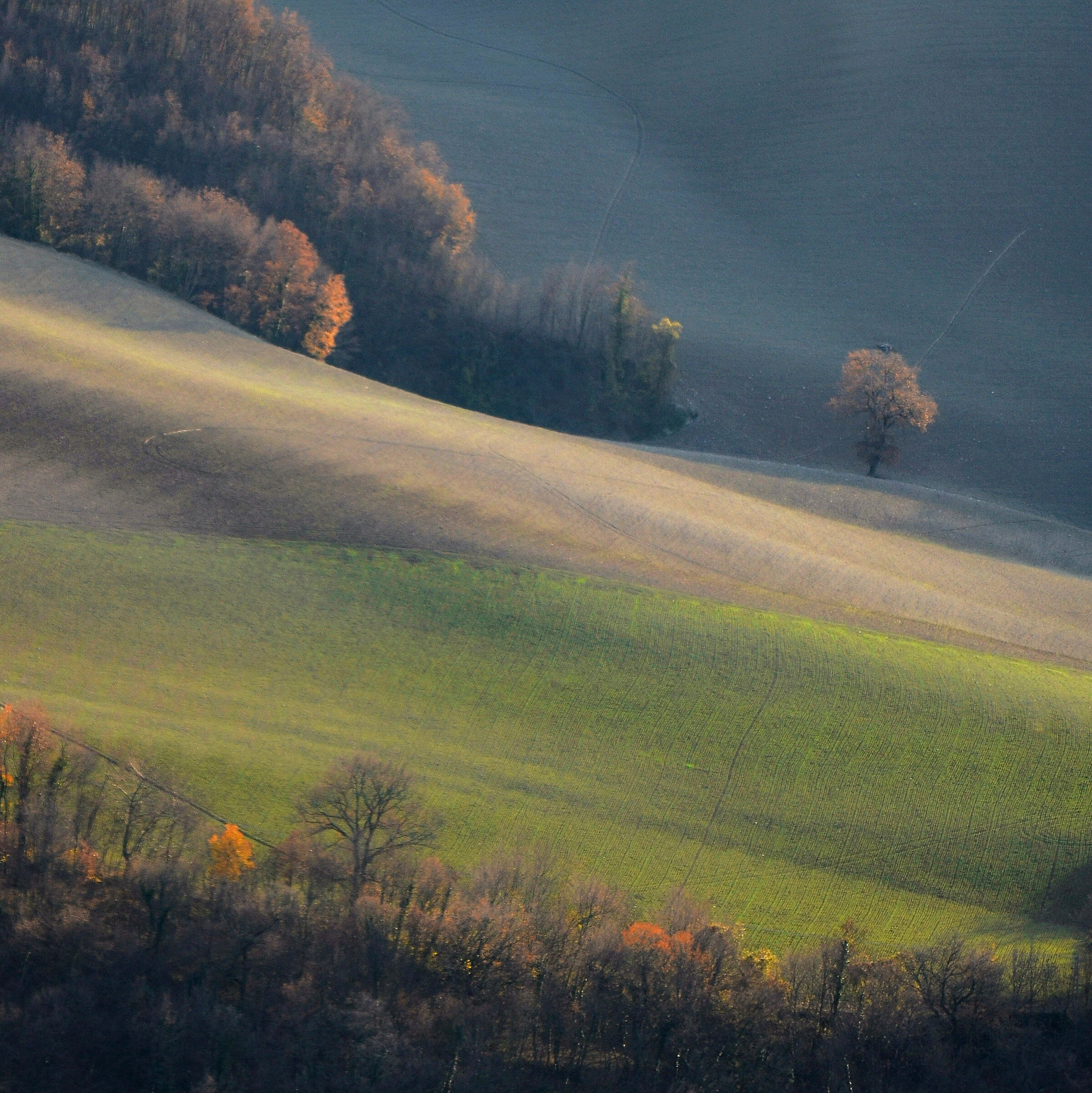 Marches campaign in November