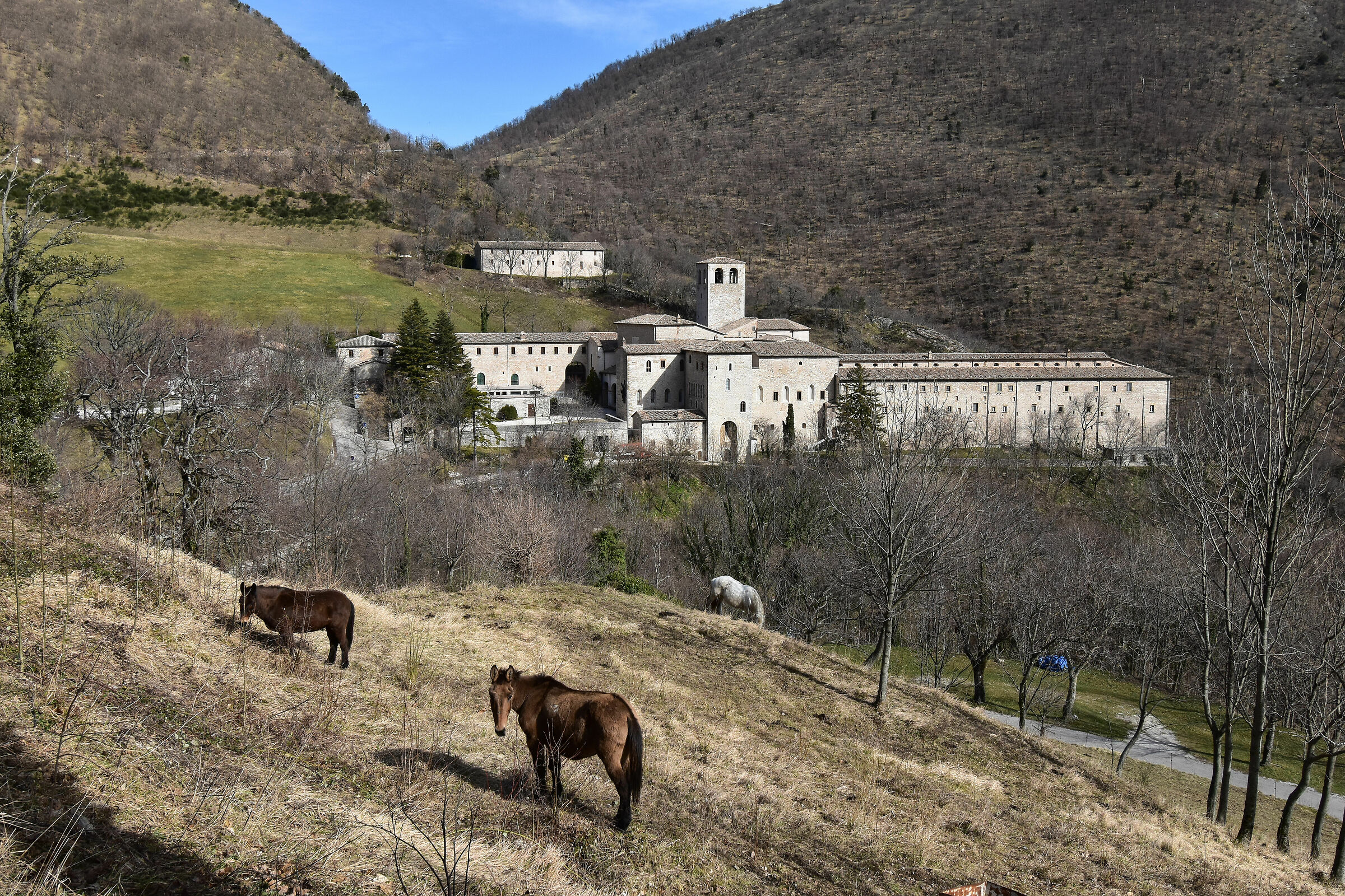Monastery of Fontavellana
