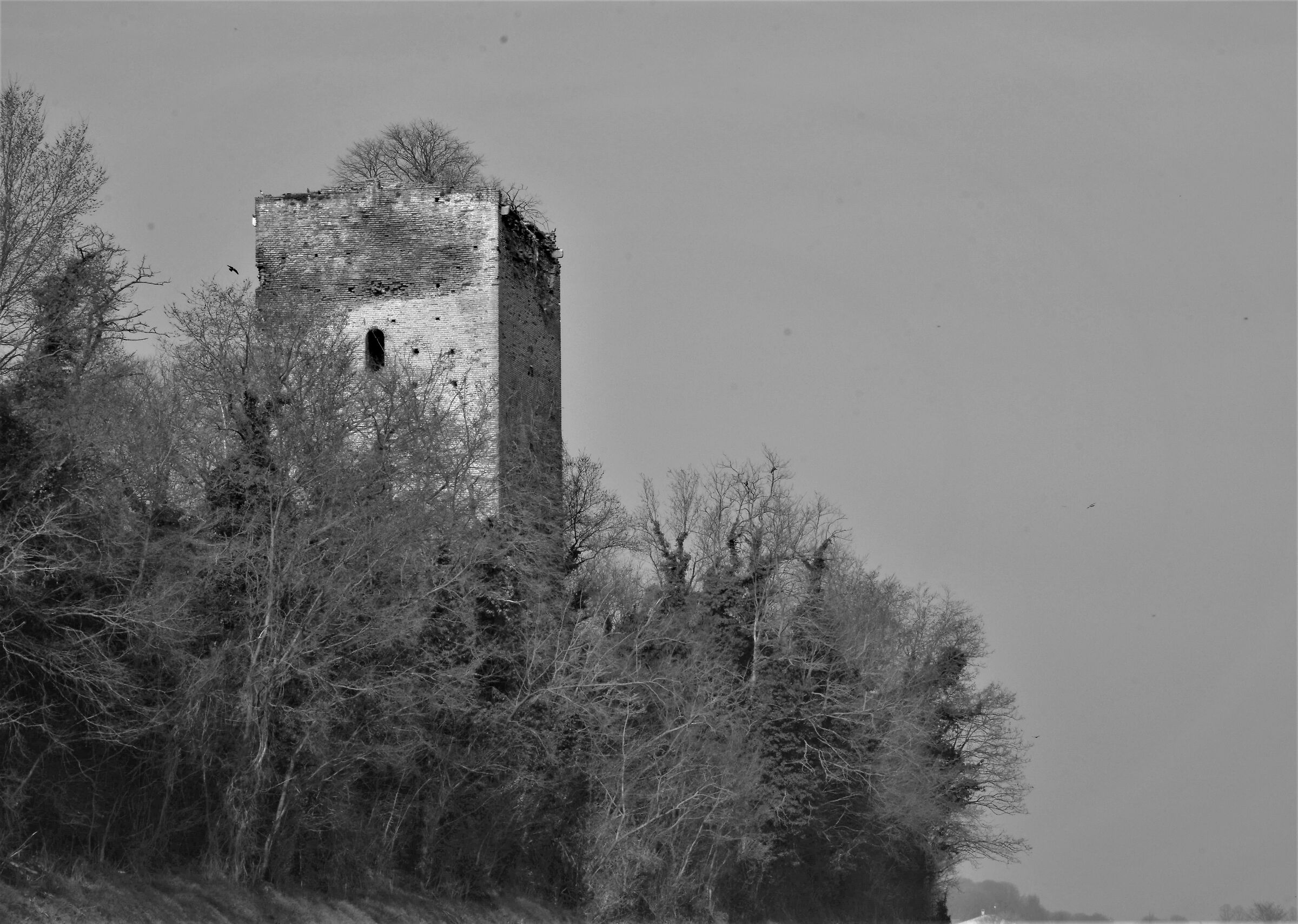 What a beautiful Castle.... Marcondirhodirondello......