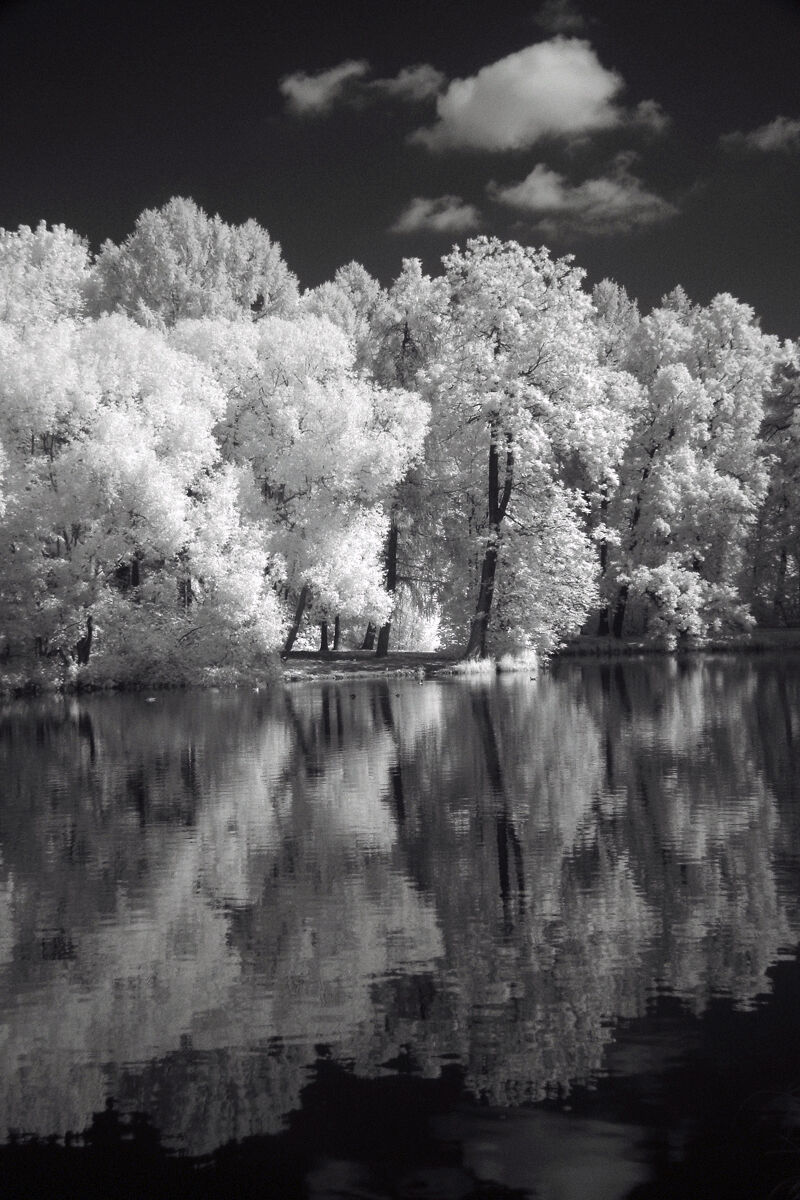 Infrarosso sulla Neva (Ru)