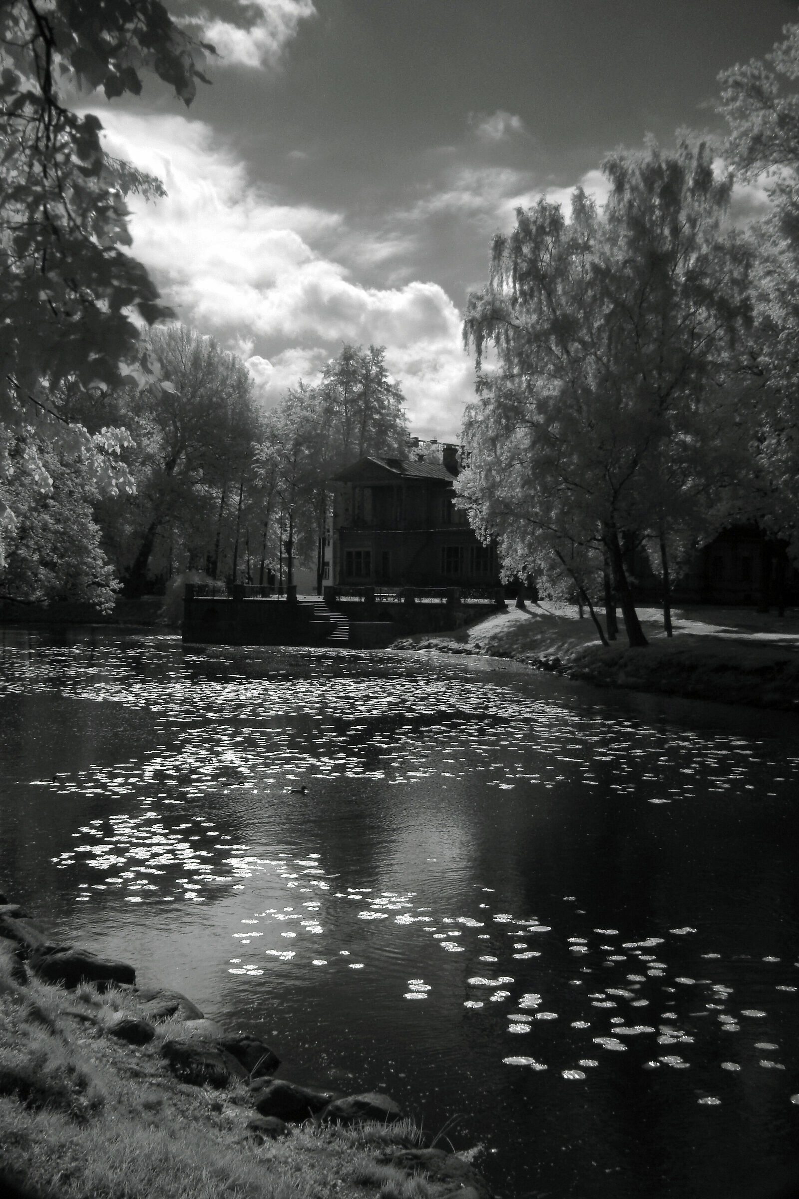 Infrarosso sulla Neva (Ru)