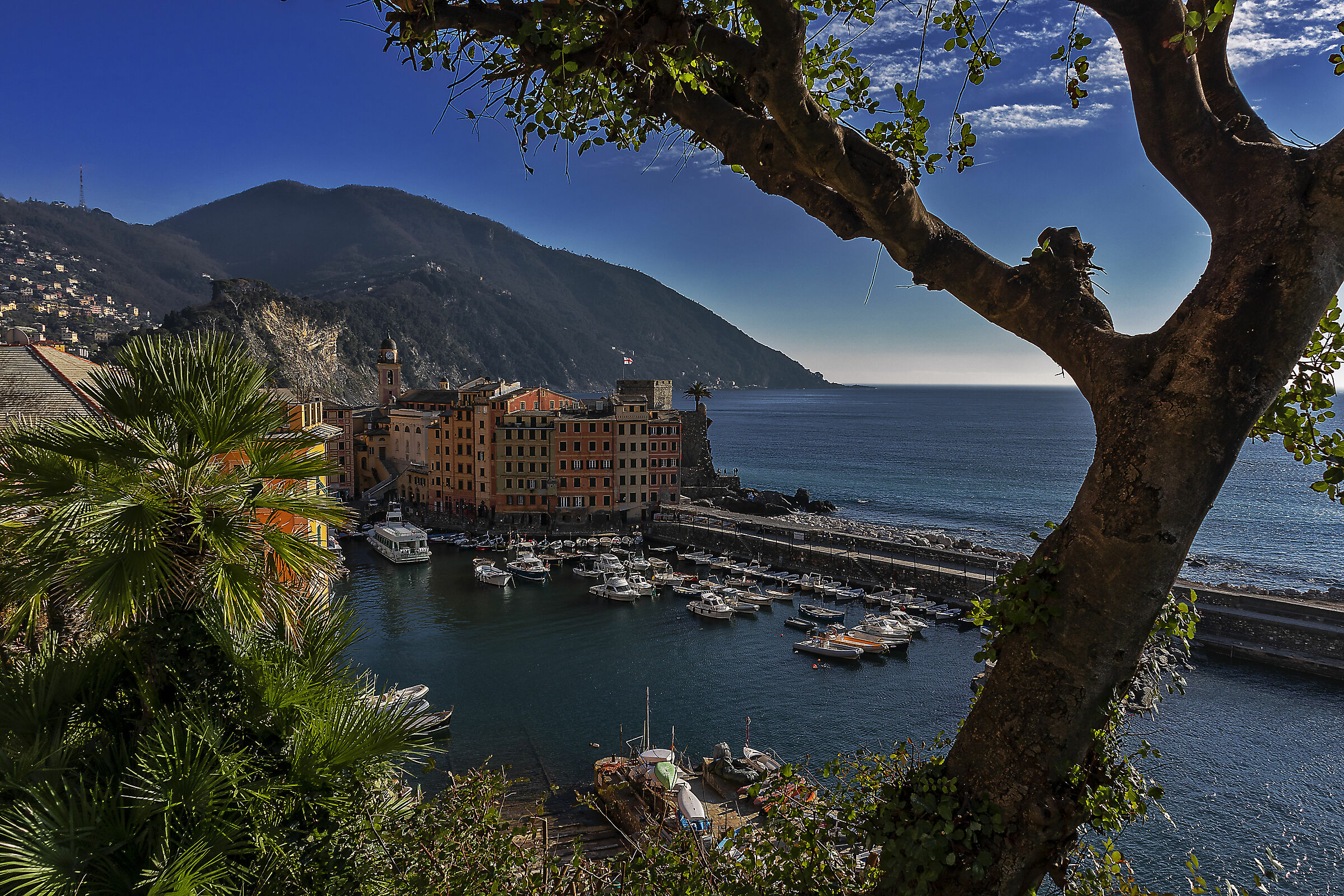 L'altra Camogli