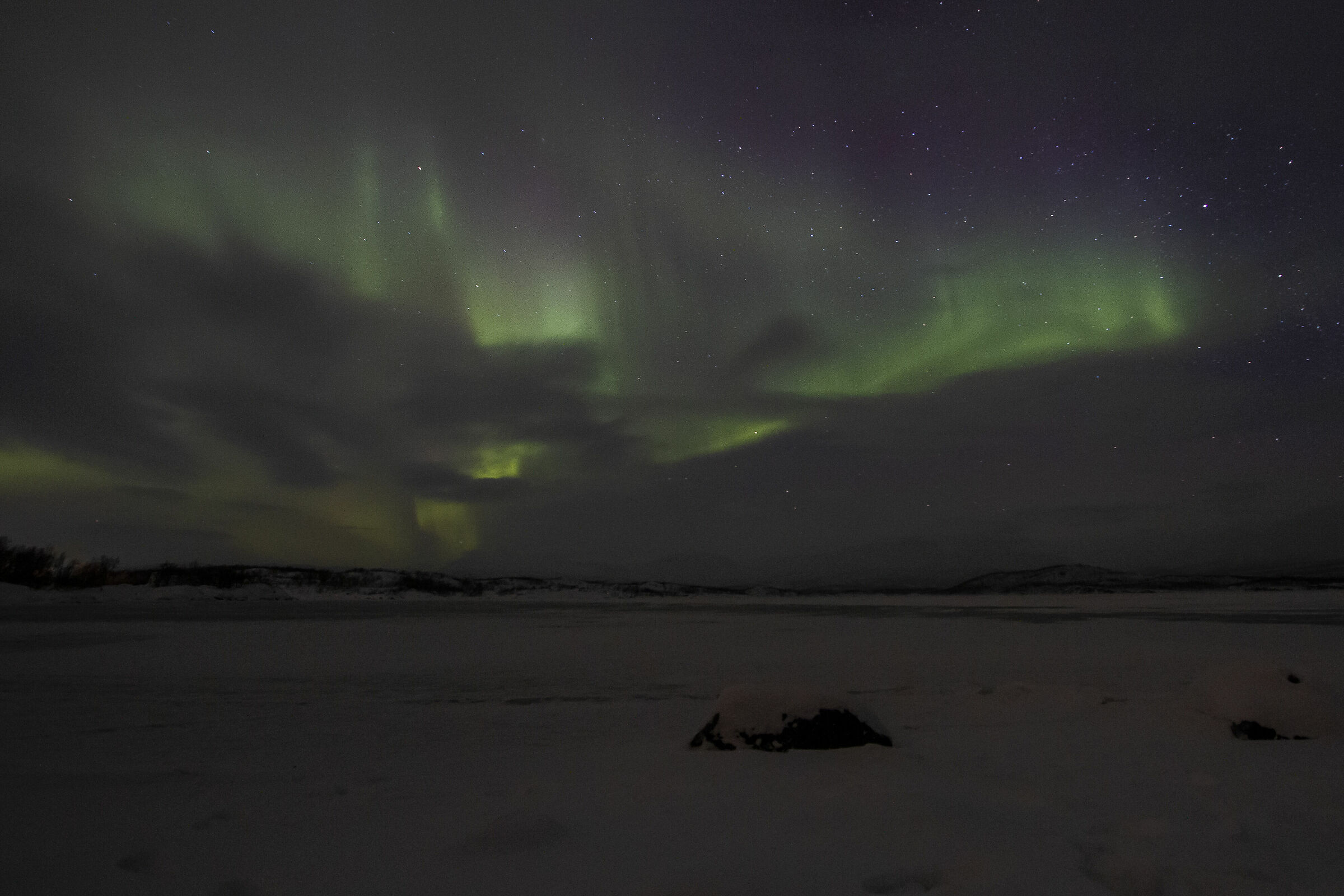 Dancing with the Firefox