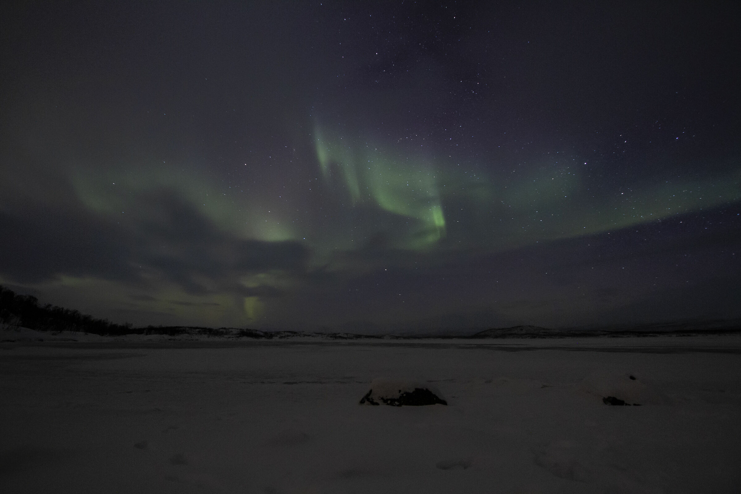 Dancing with the Firefox