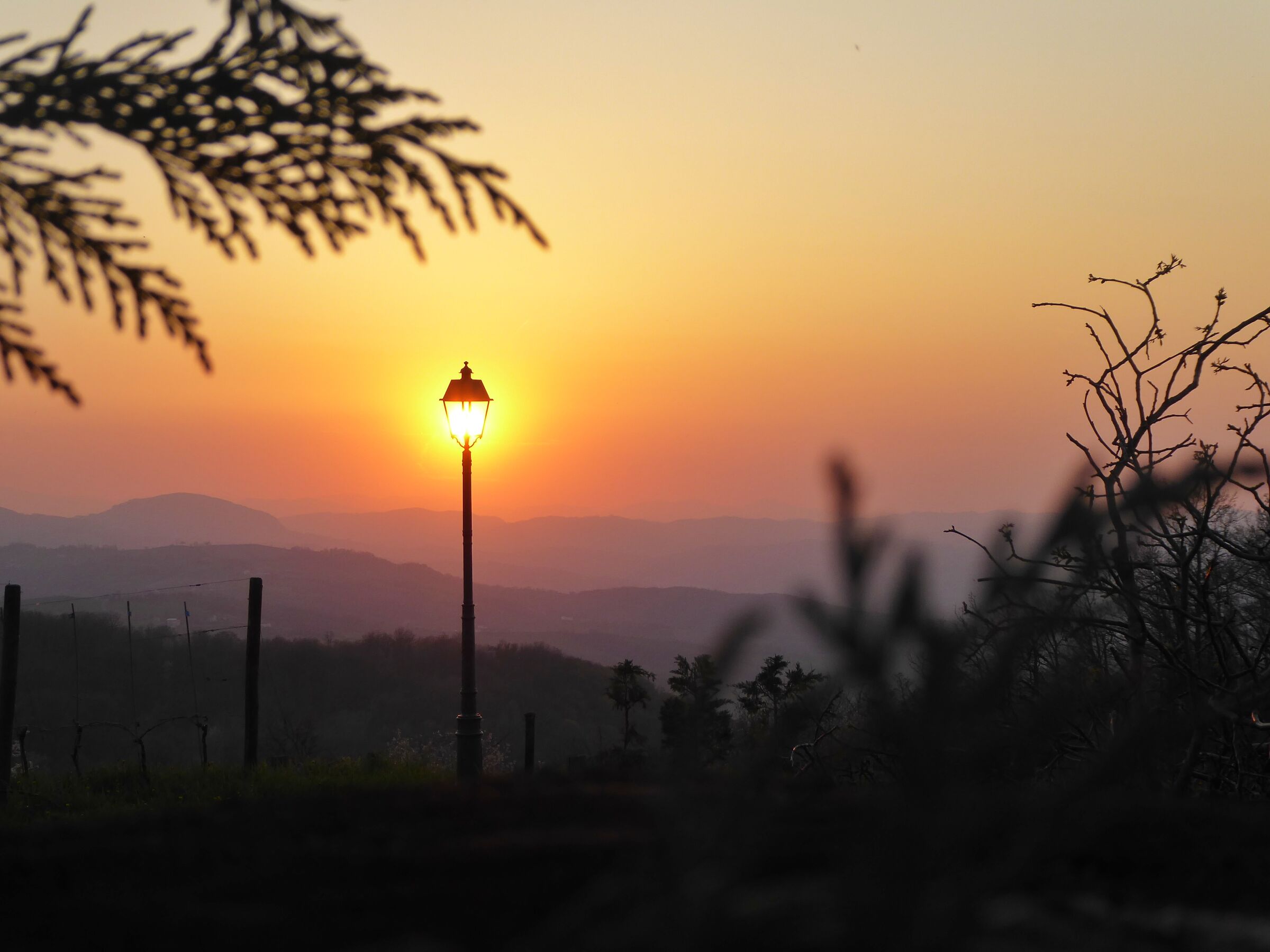 Sogno di un lampione