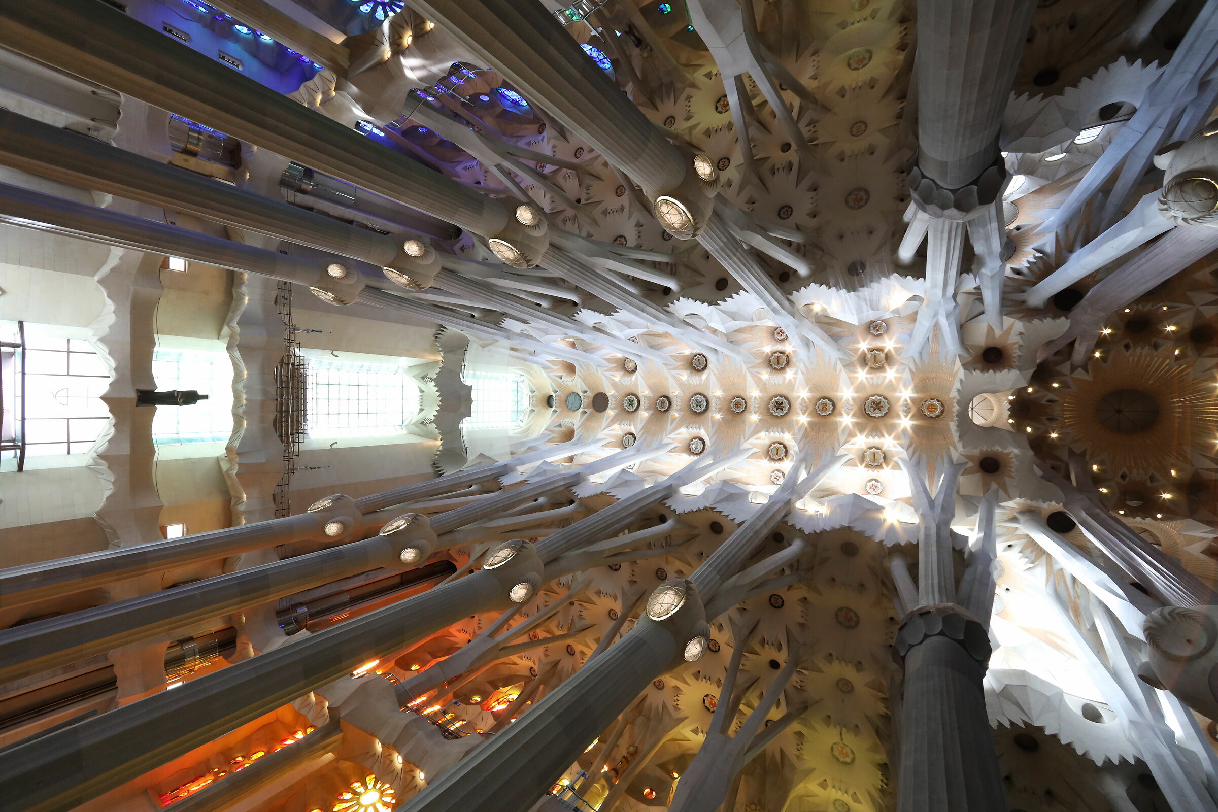The Sagrada