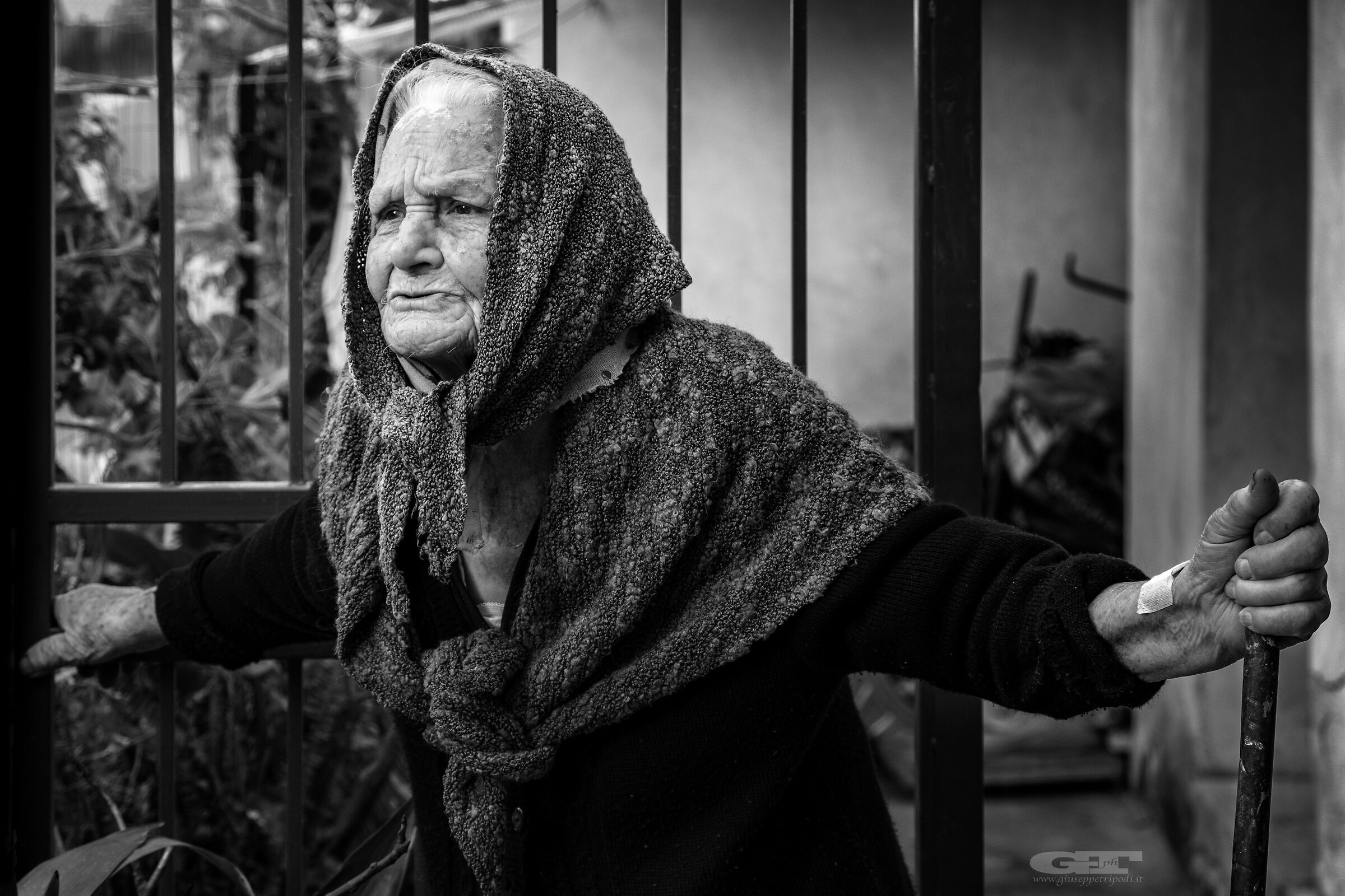 Laureana of Borrello