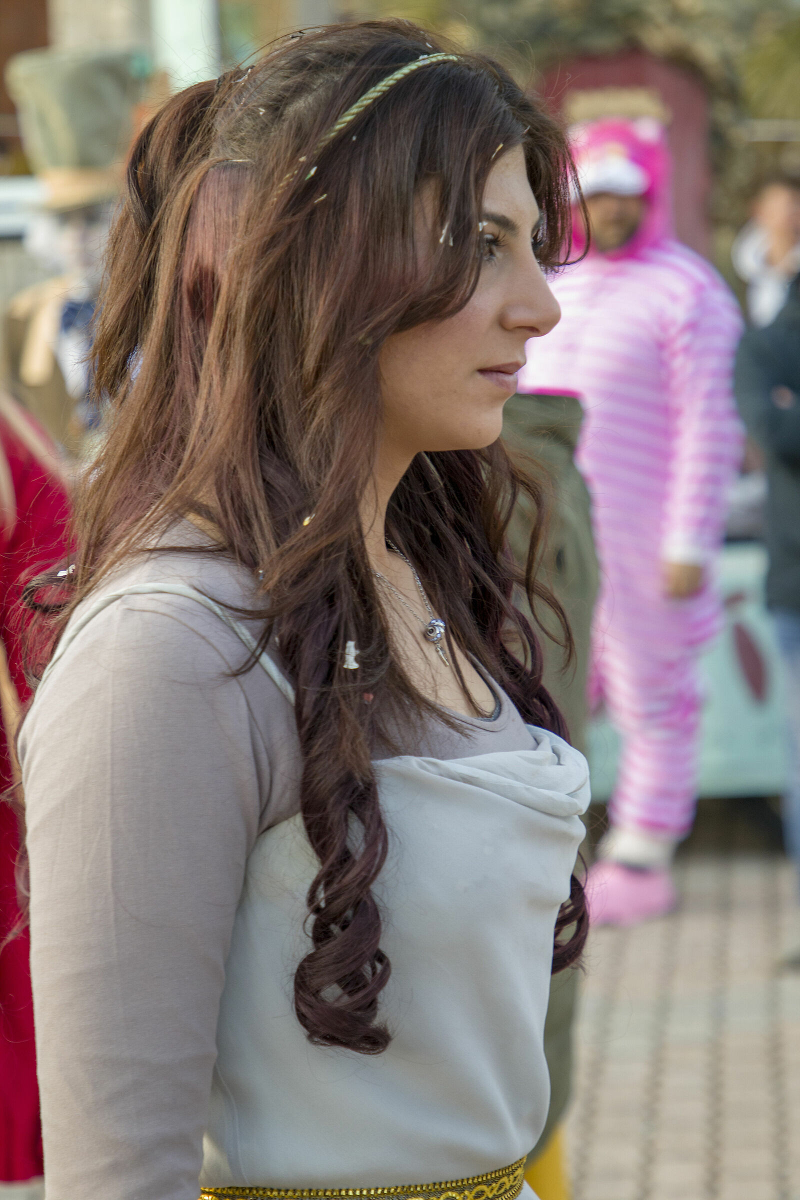 The Beauties of Carnival