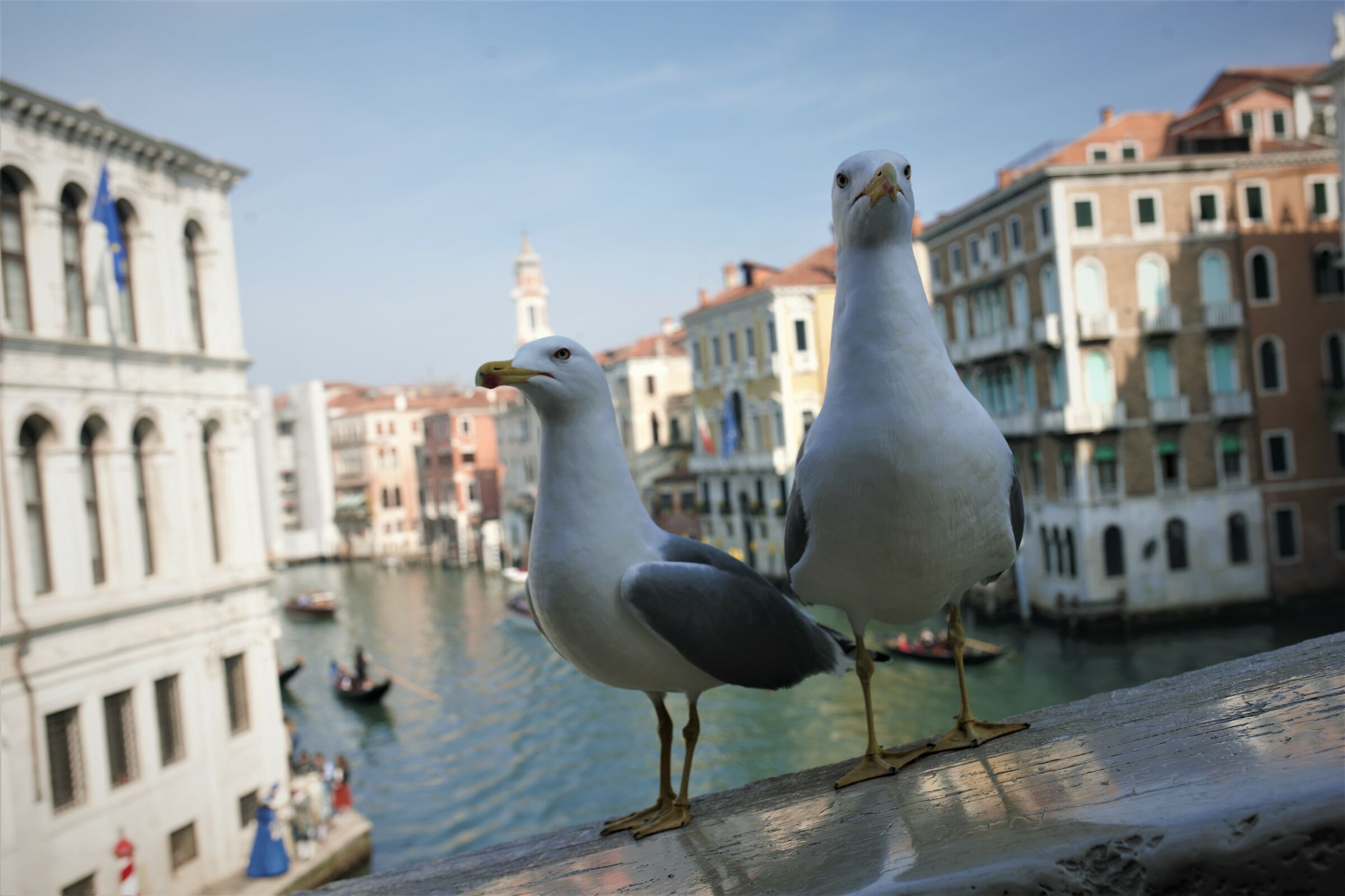 Avete qualche briciola per noi ?