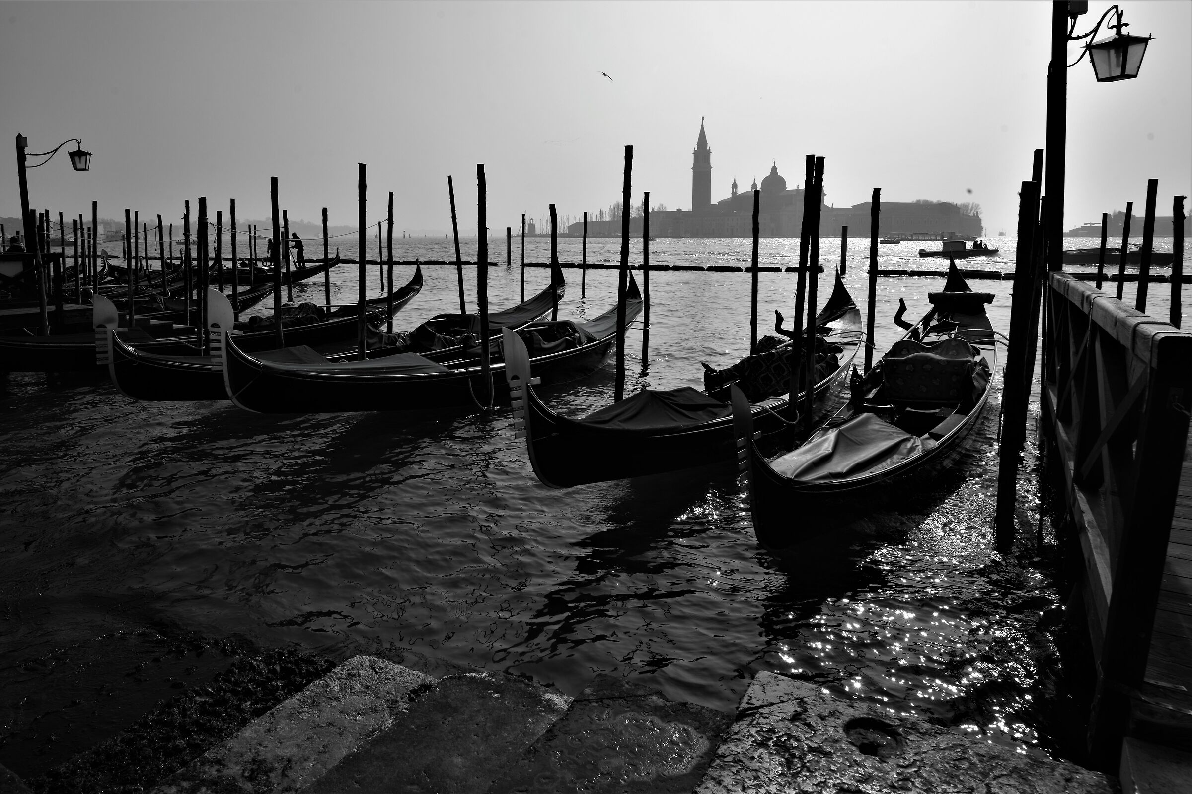 controluce al tramonto...