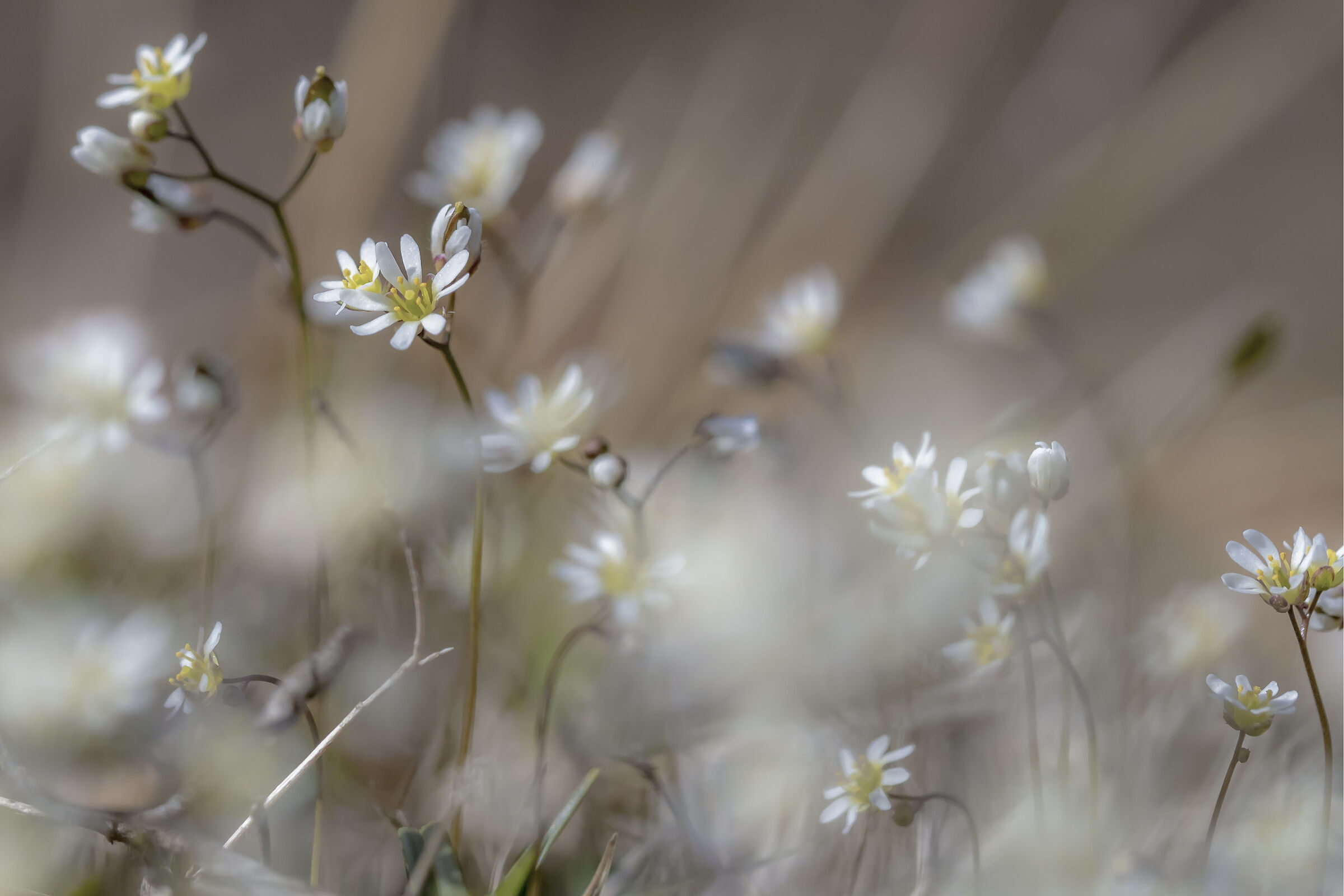 Untitled Photo