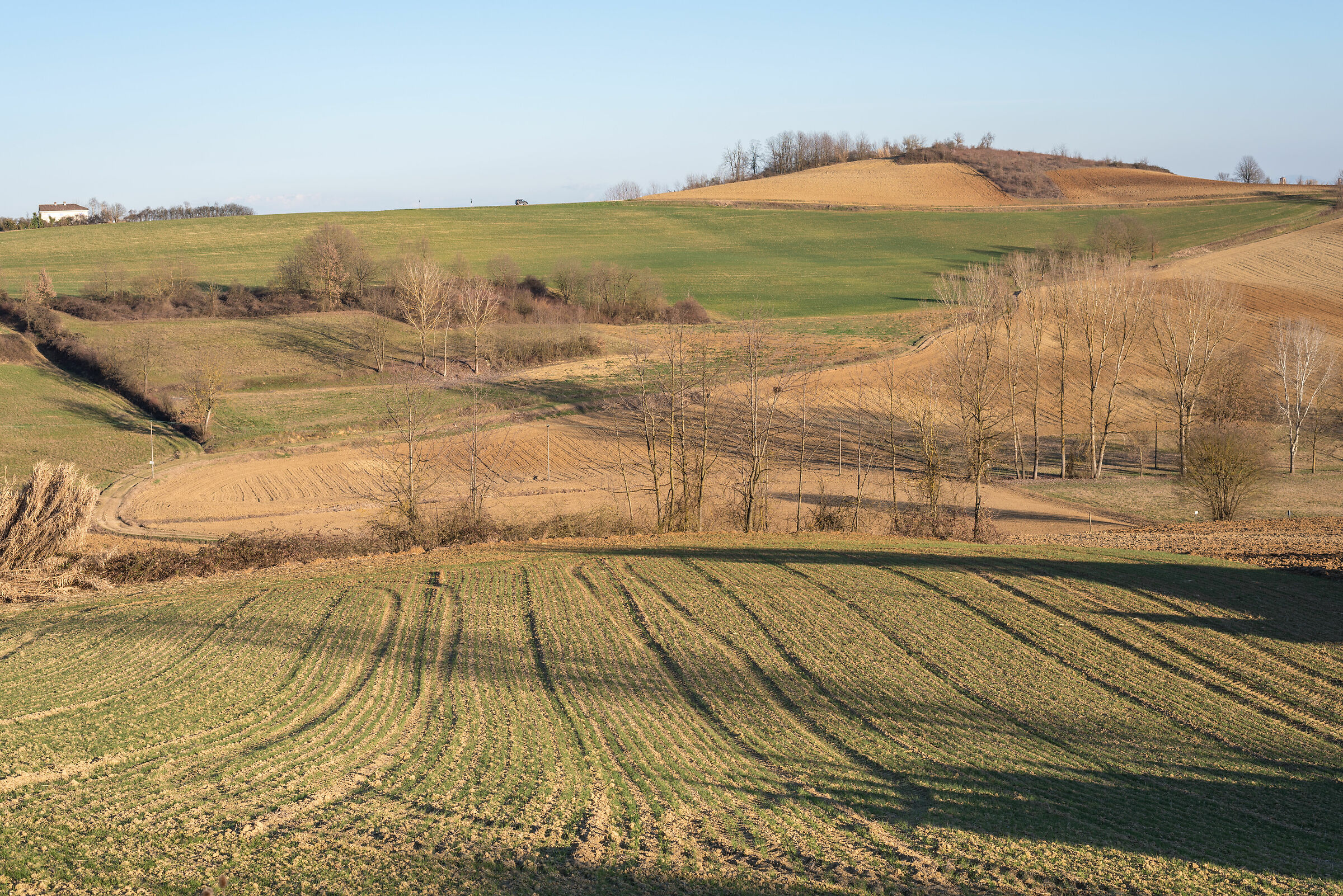 Monferrato2