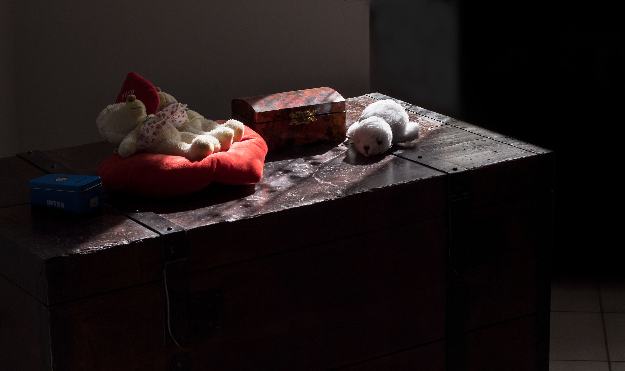 The trunk of Memories