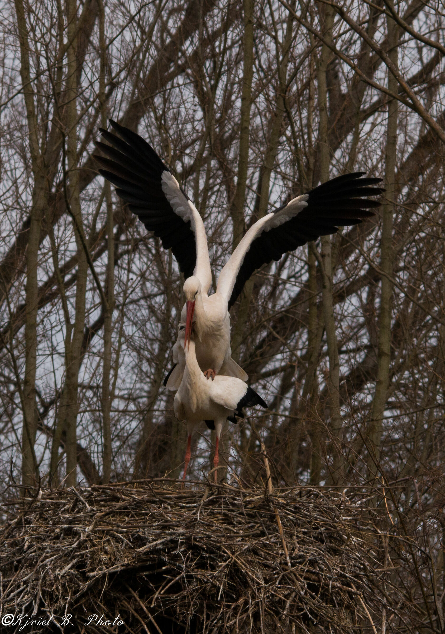 privacy per favore...