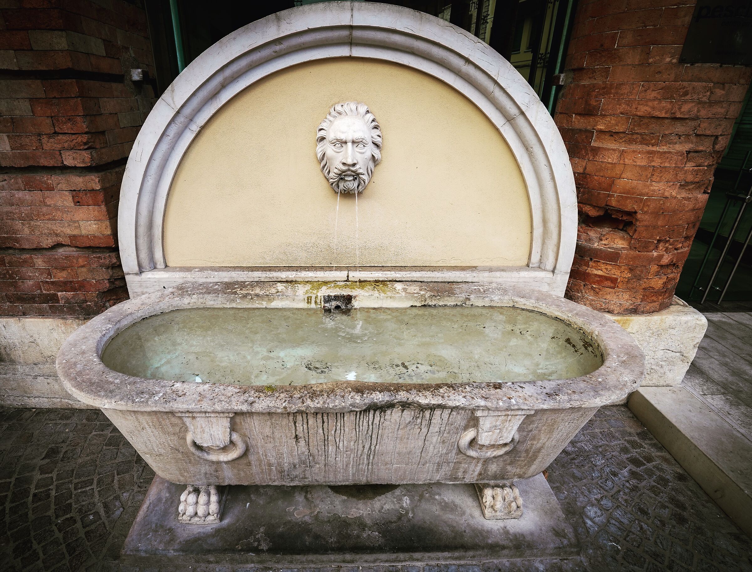 Fontana Vis Corsi Pesaro