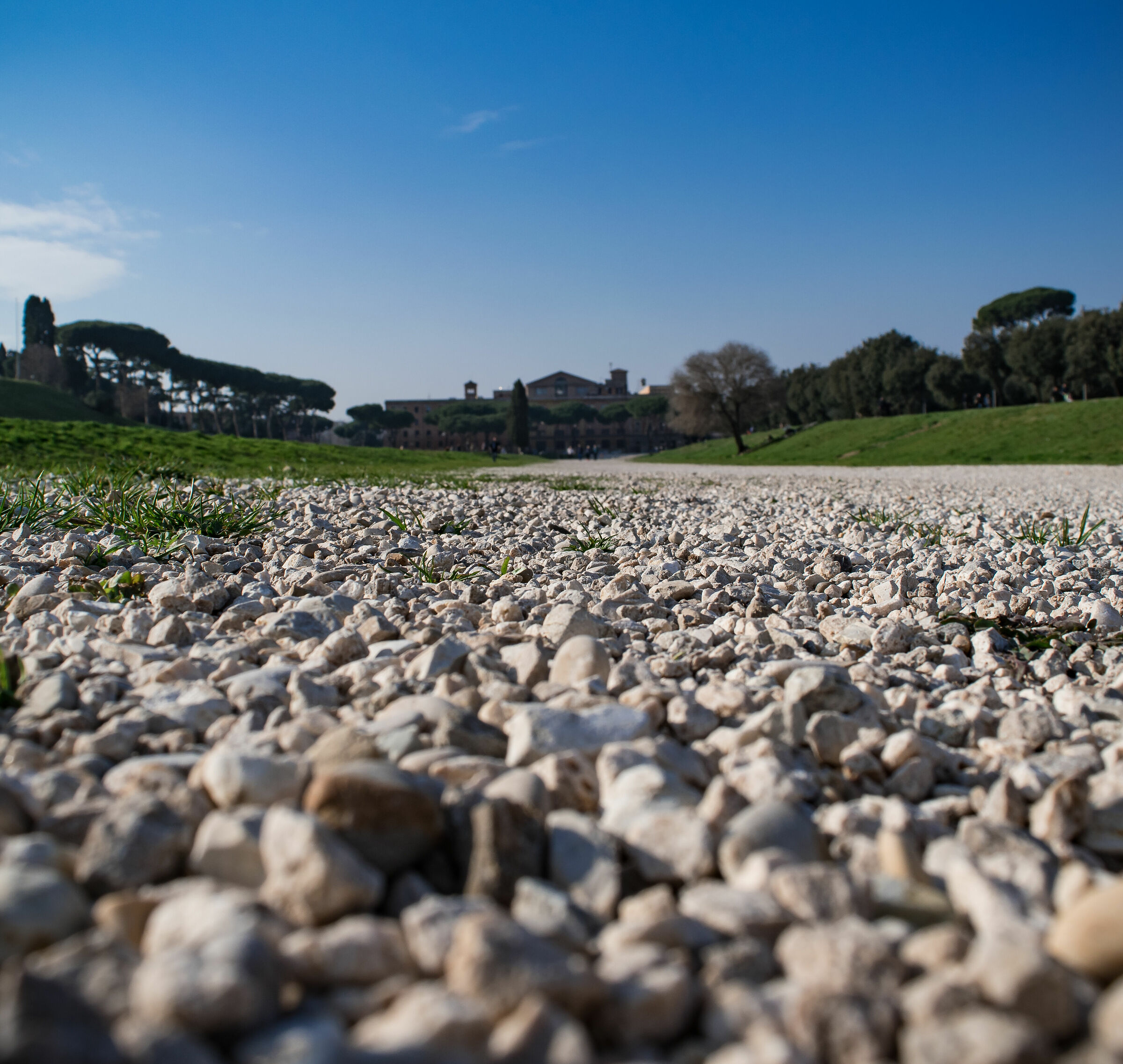 Circo Massimo Bassa Prospettiva