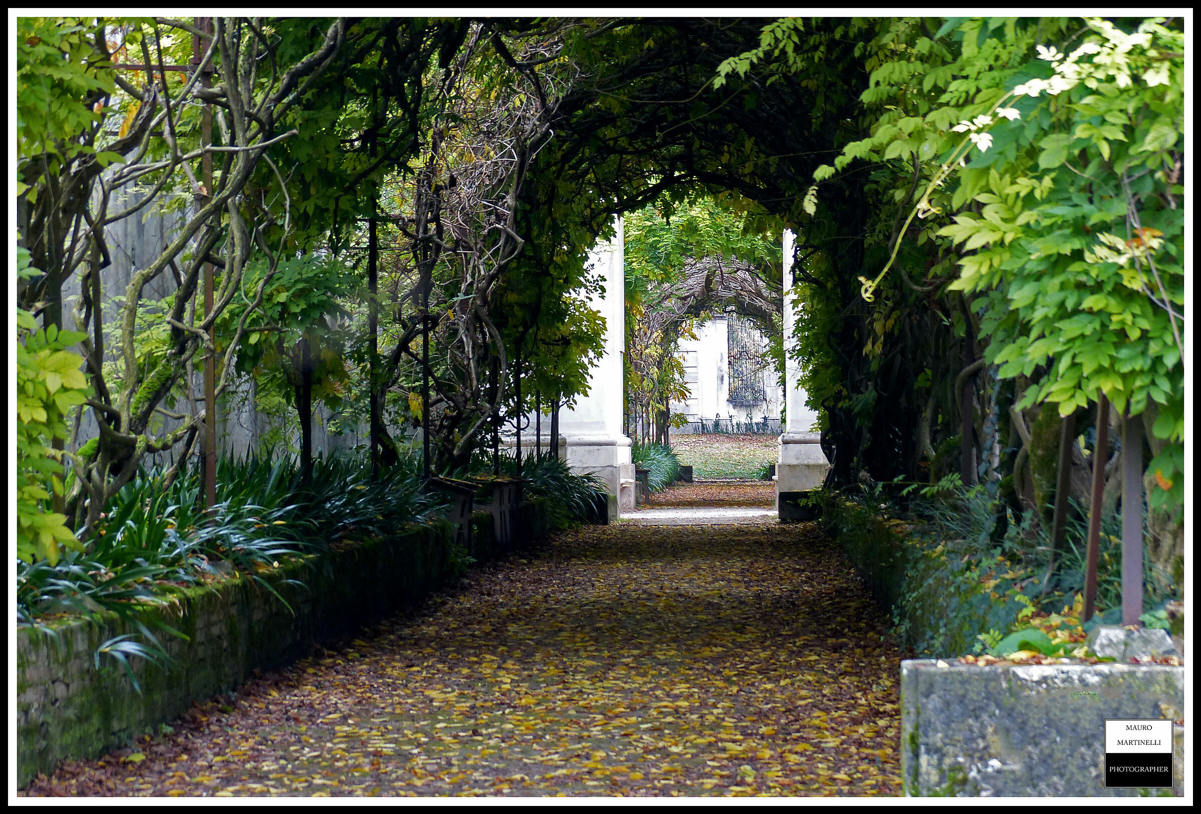 Villa Pisani ( Italy )