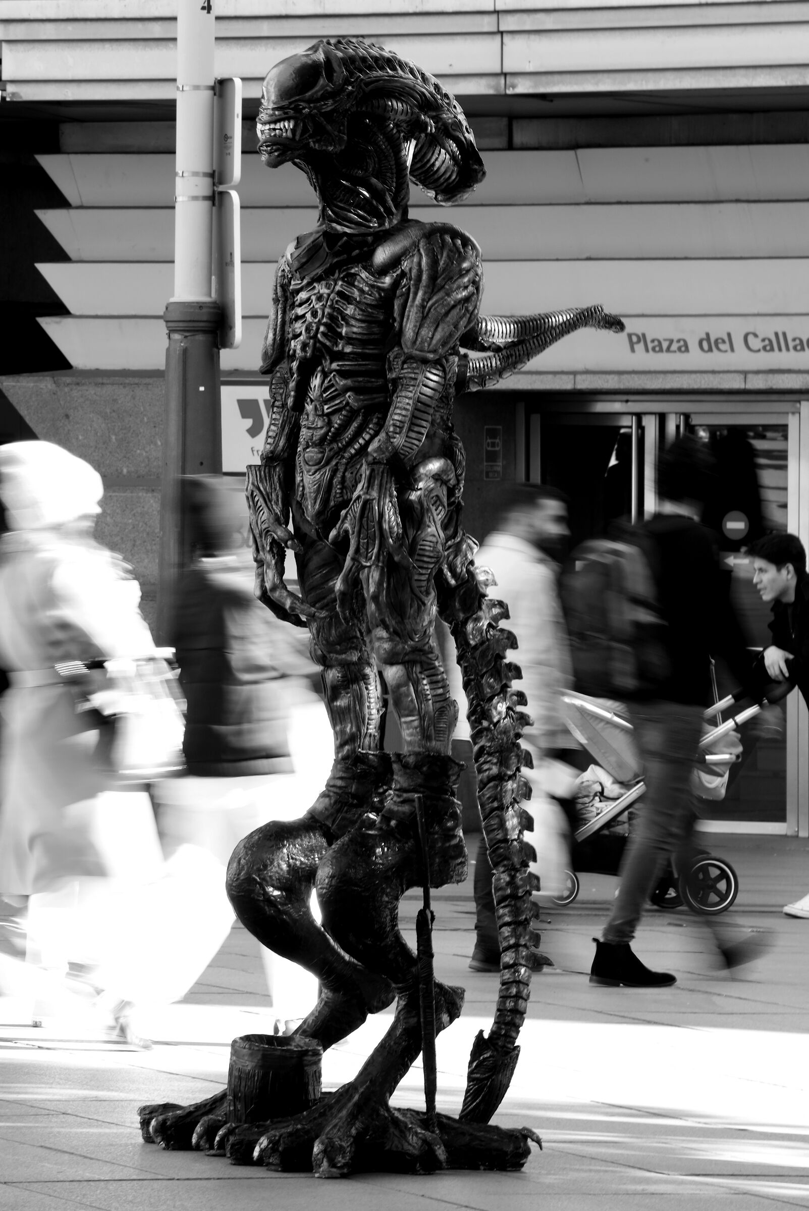 I'm an illegal Alien