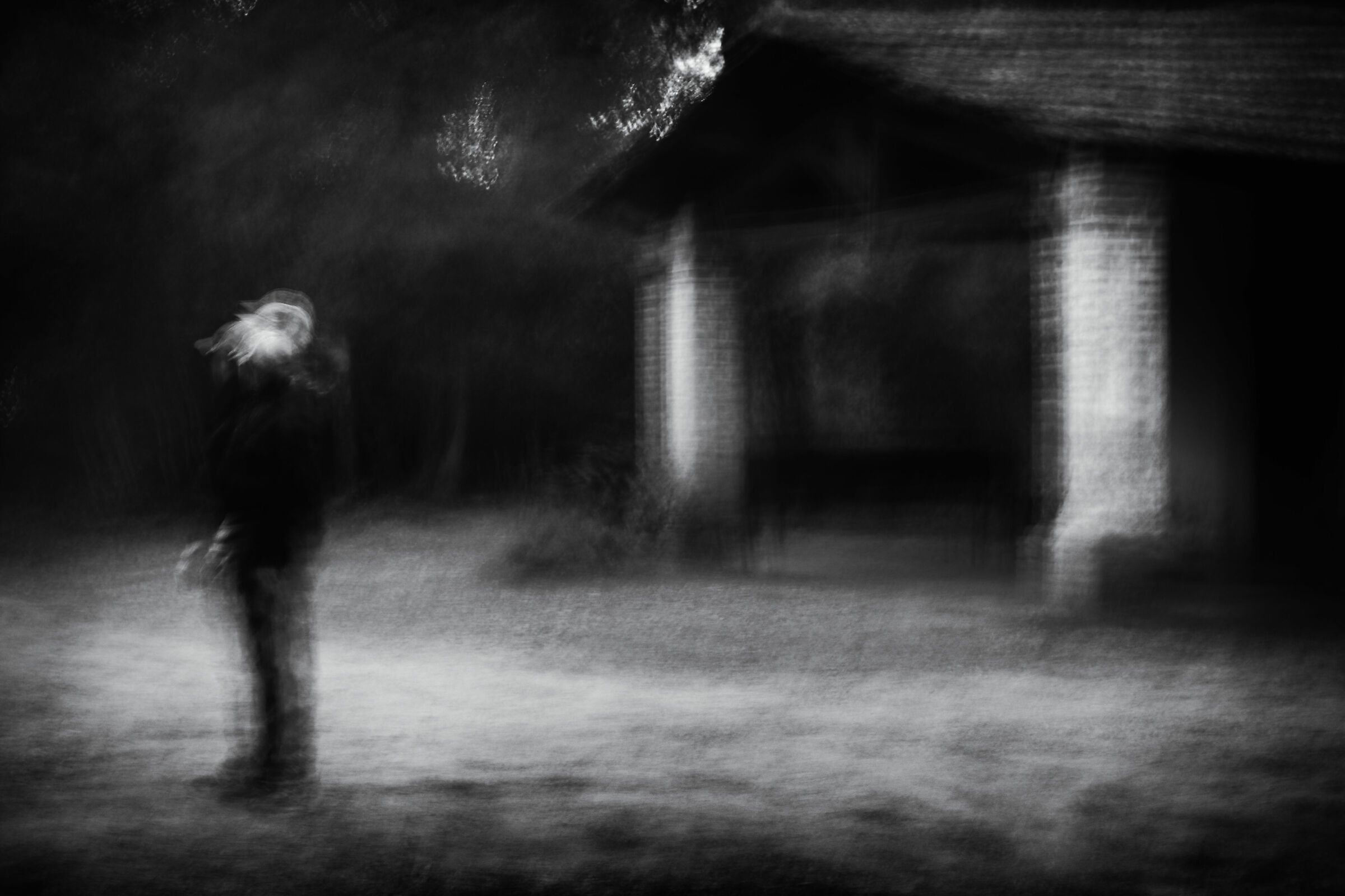 Here I gaze at a pantheon of oak, a citadel of stone