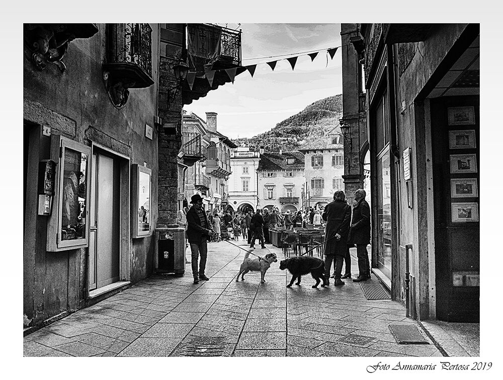 Incontro ravvicinato a Domodossola