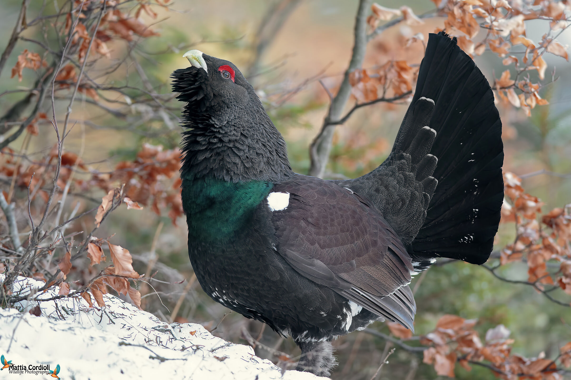 uruk in the Japanese painting