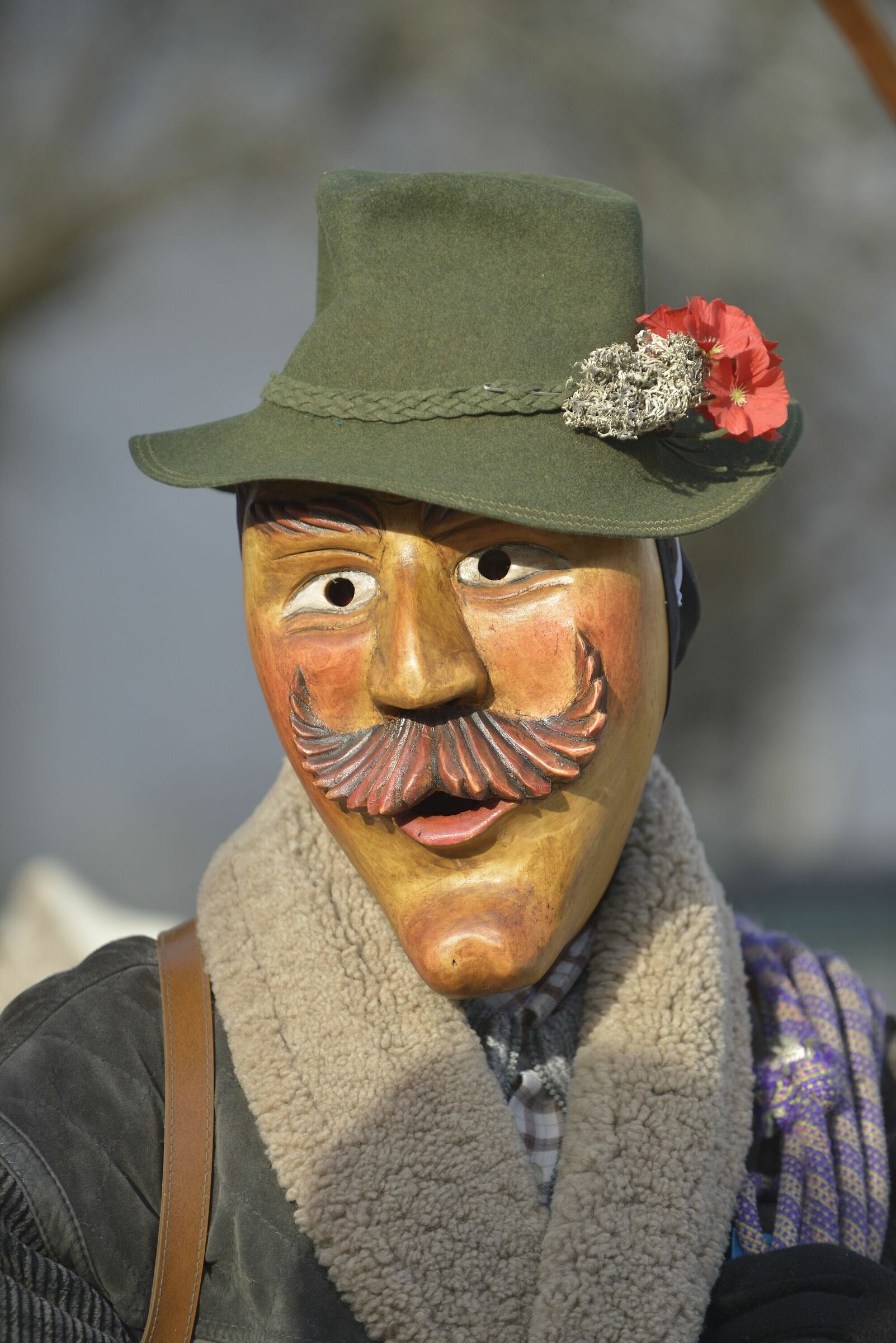 Carnival Sappadin...