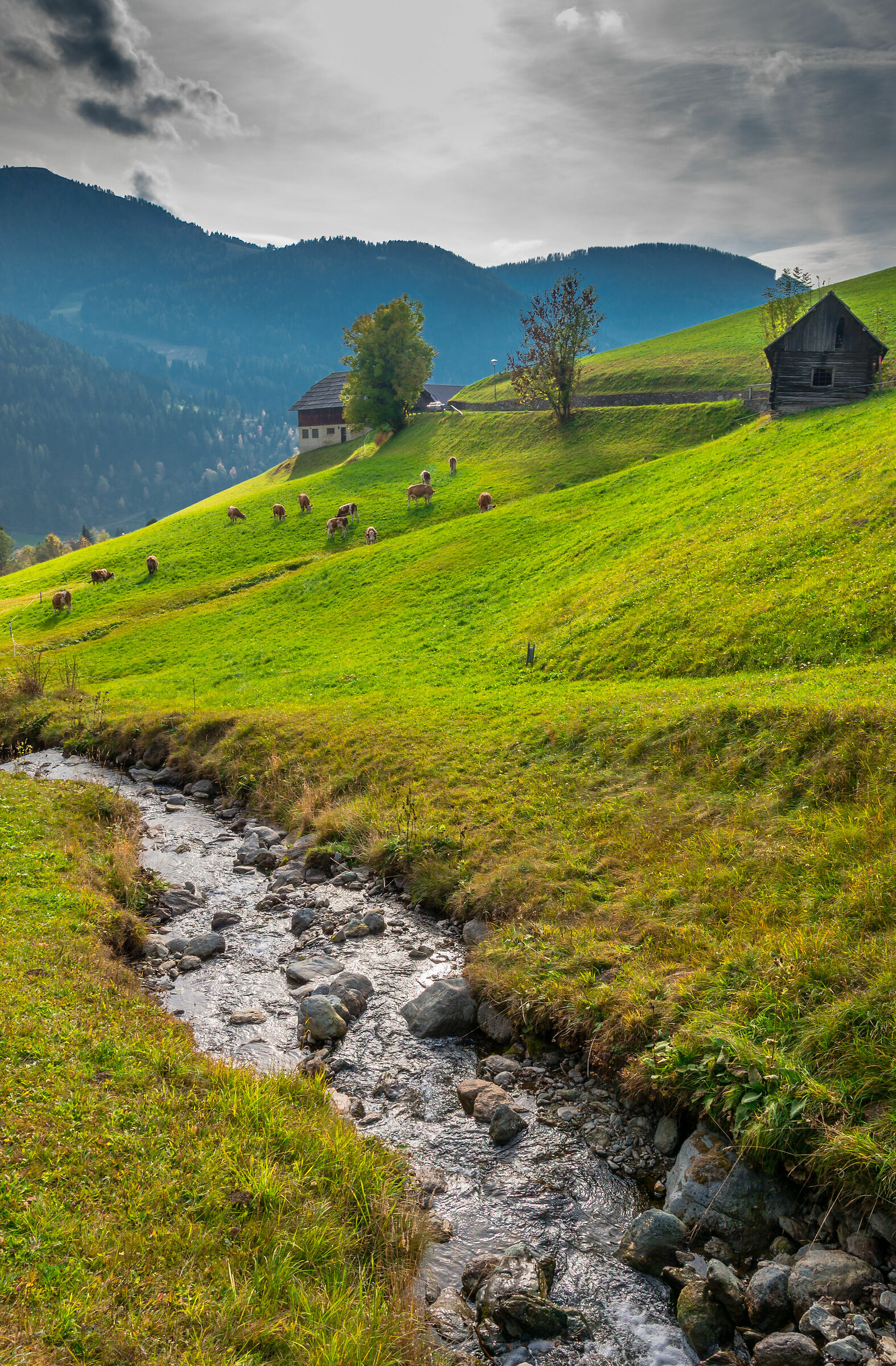 Ebbene si...non è Italia qui....
