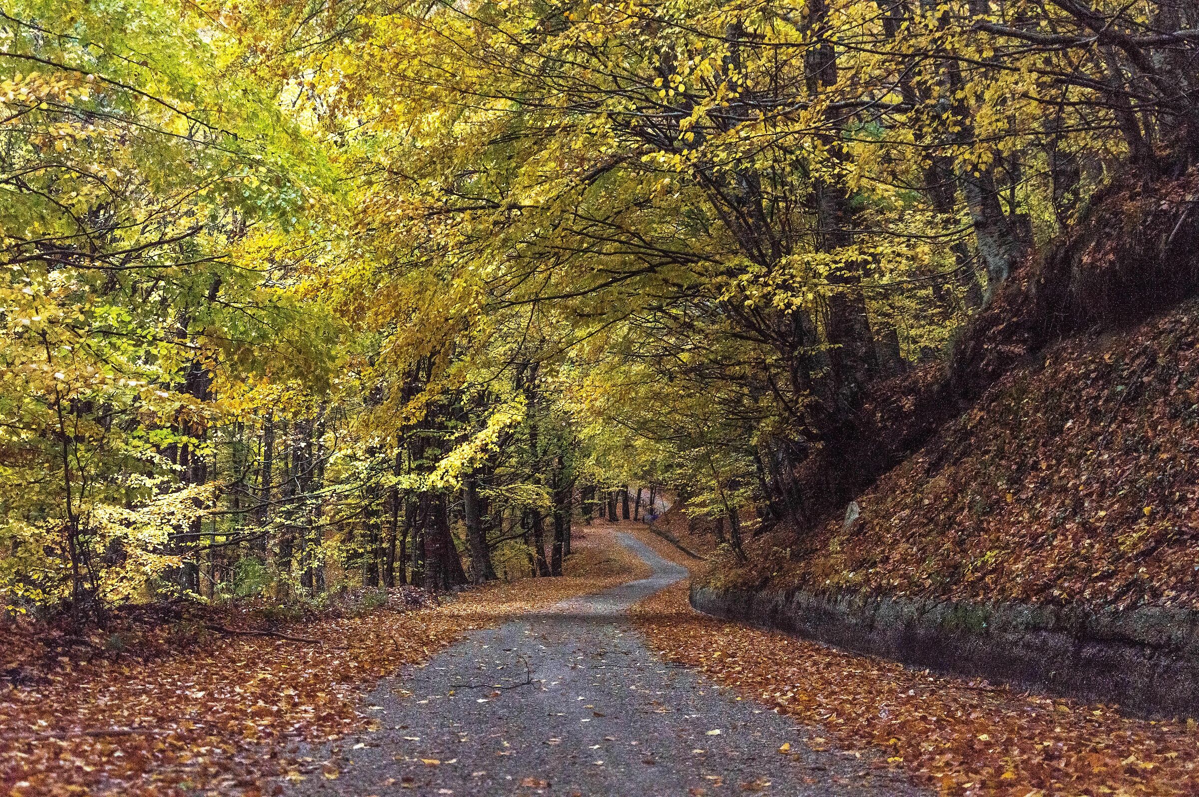 Sentiero a Pietrastornina (Av)