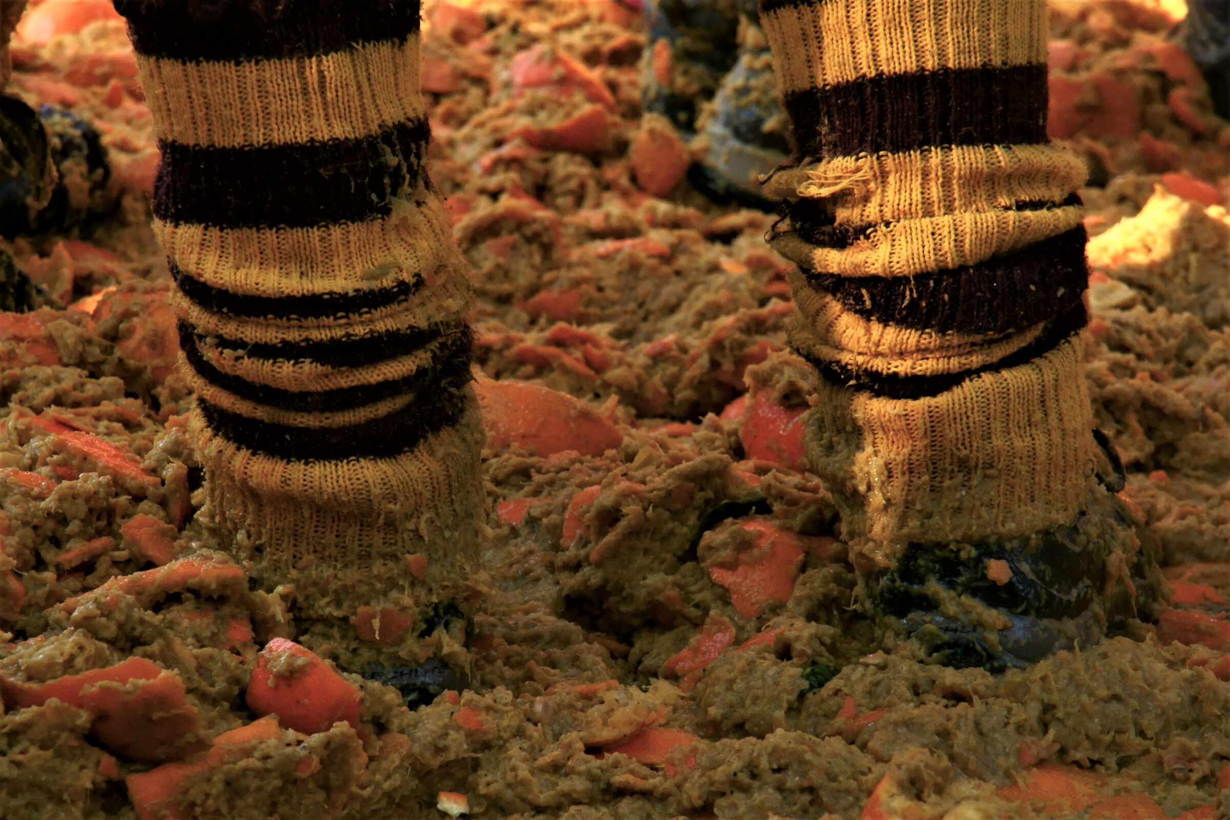 Battle of Oranges Ivrea 2019