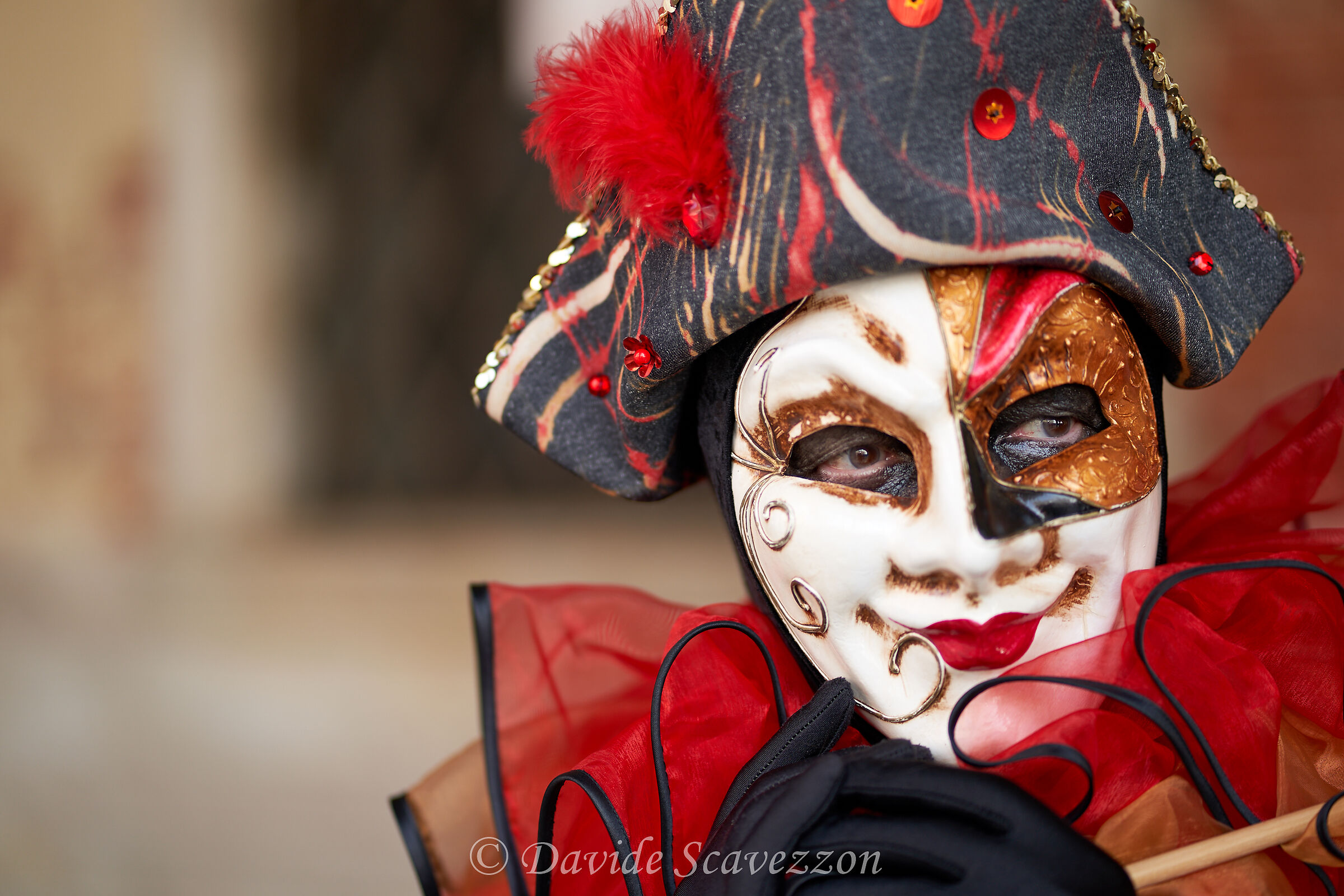 Uno sguardo verso la laguna