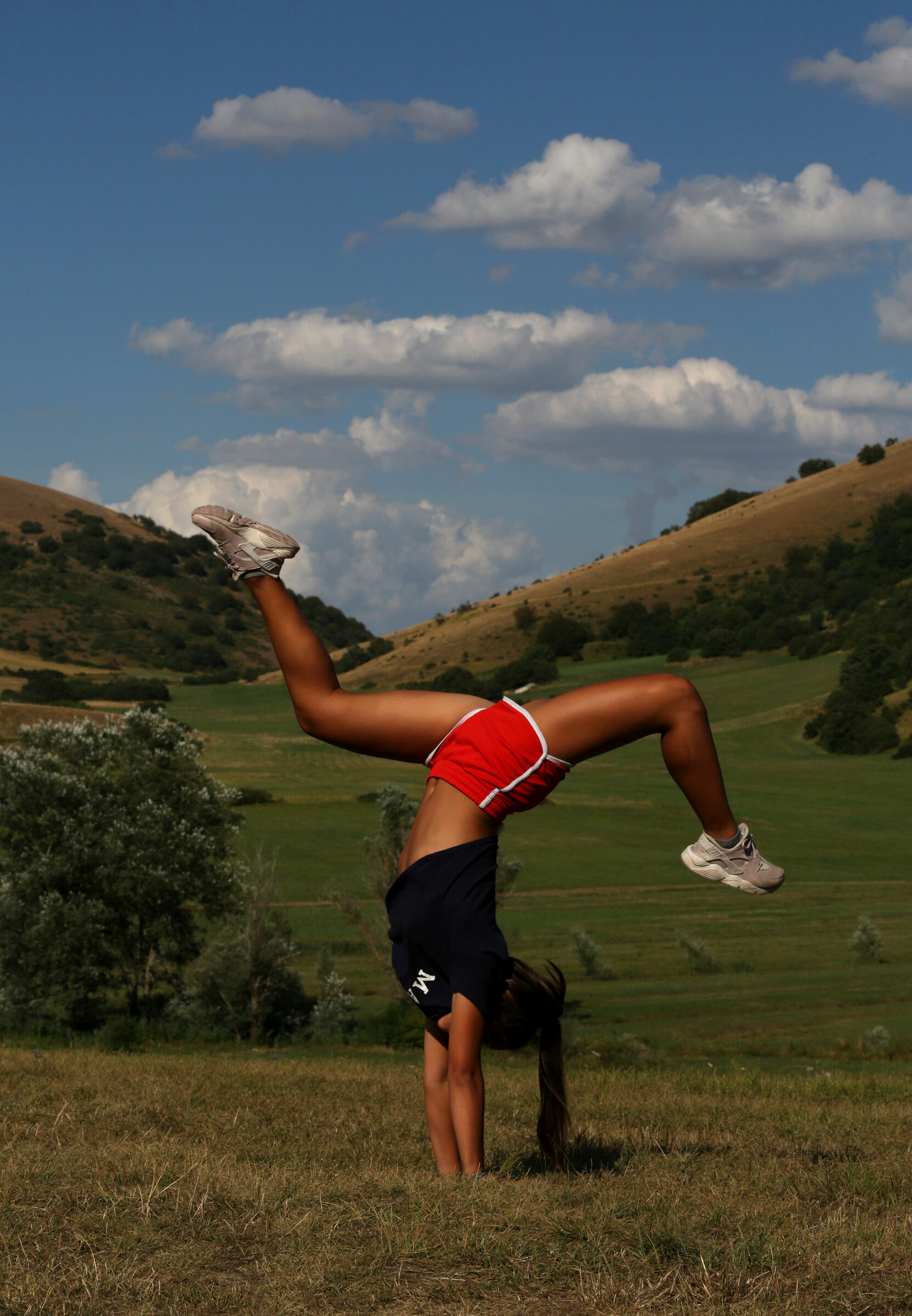 Il mondo alla rovescia