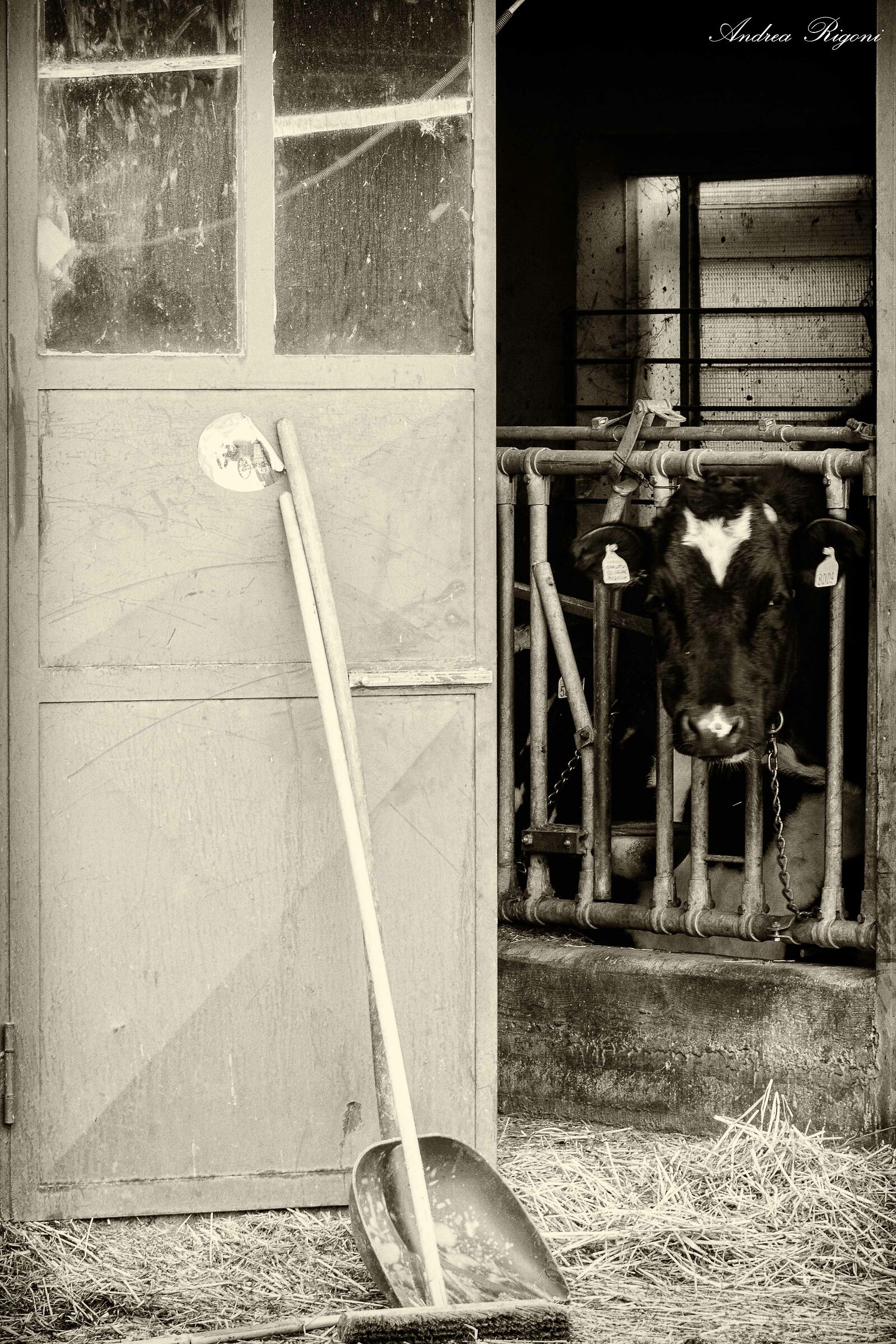 Once upon a time.....