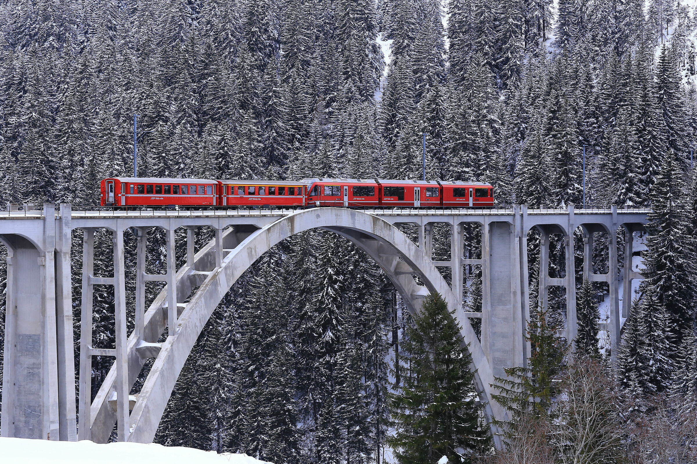 Arosa Svizzera trenino rosso