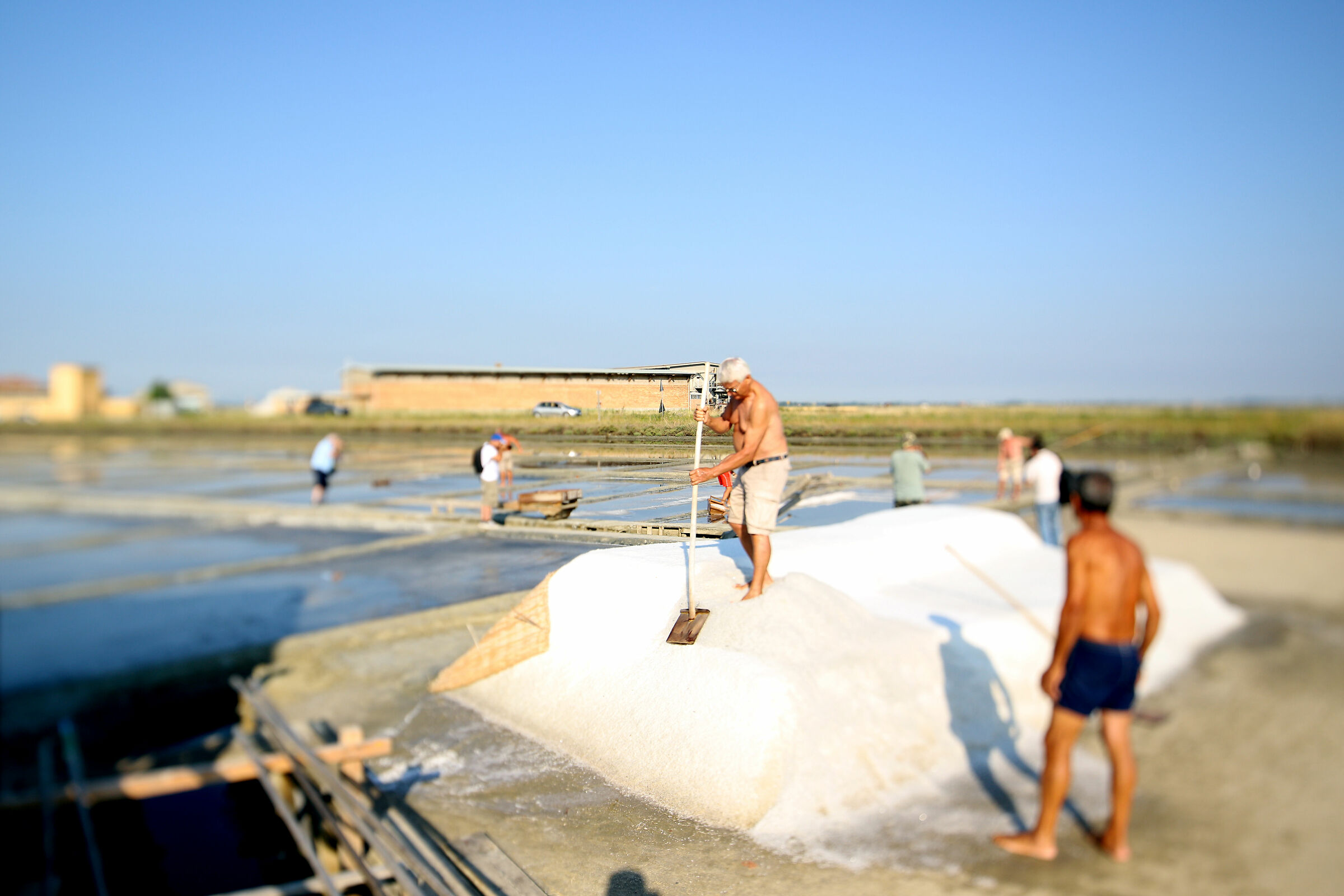Le Saline di Cervia