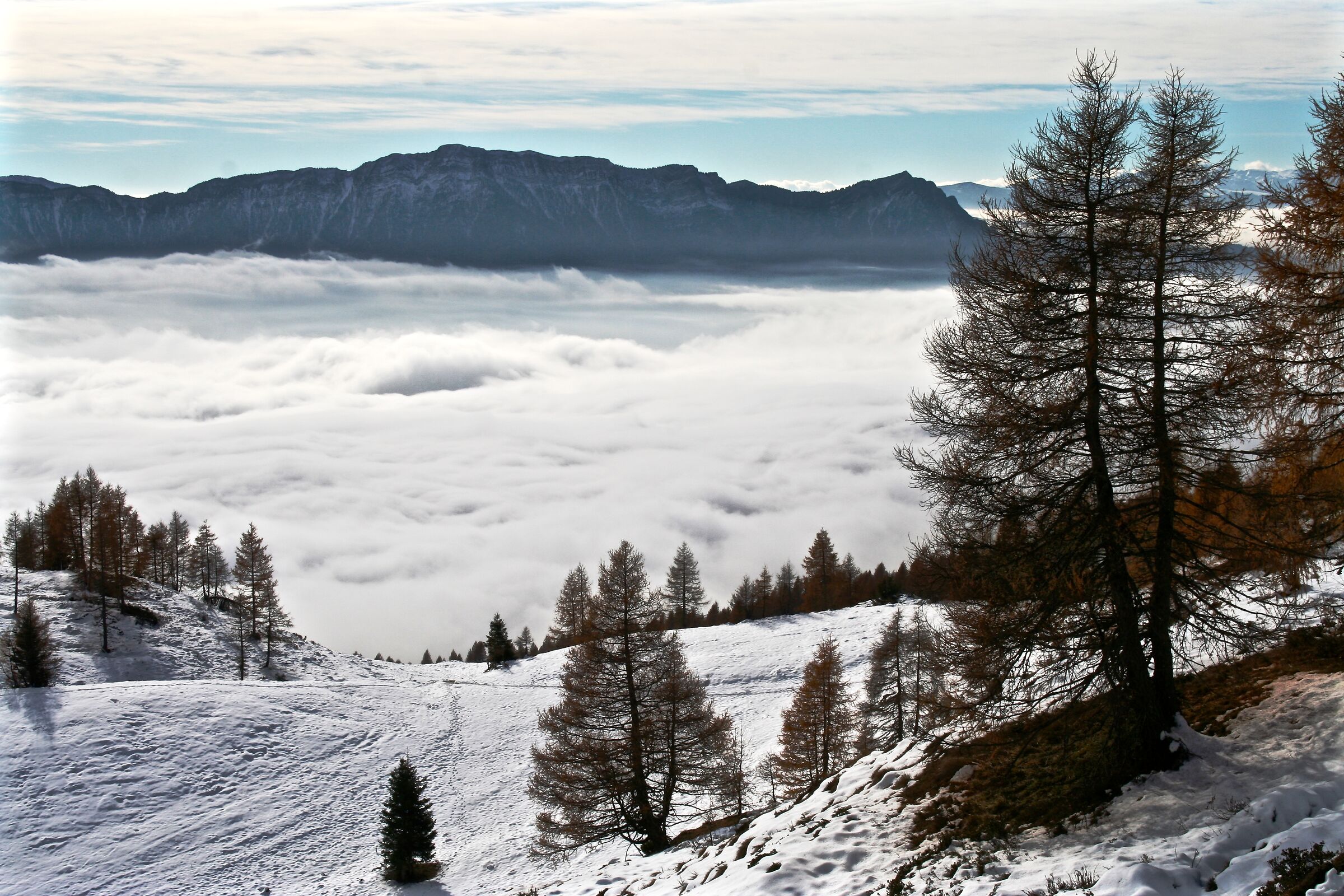 nebbia all'orizzonte